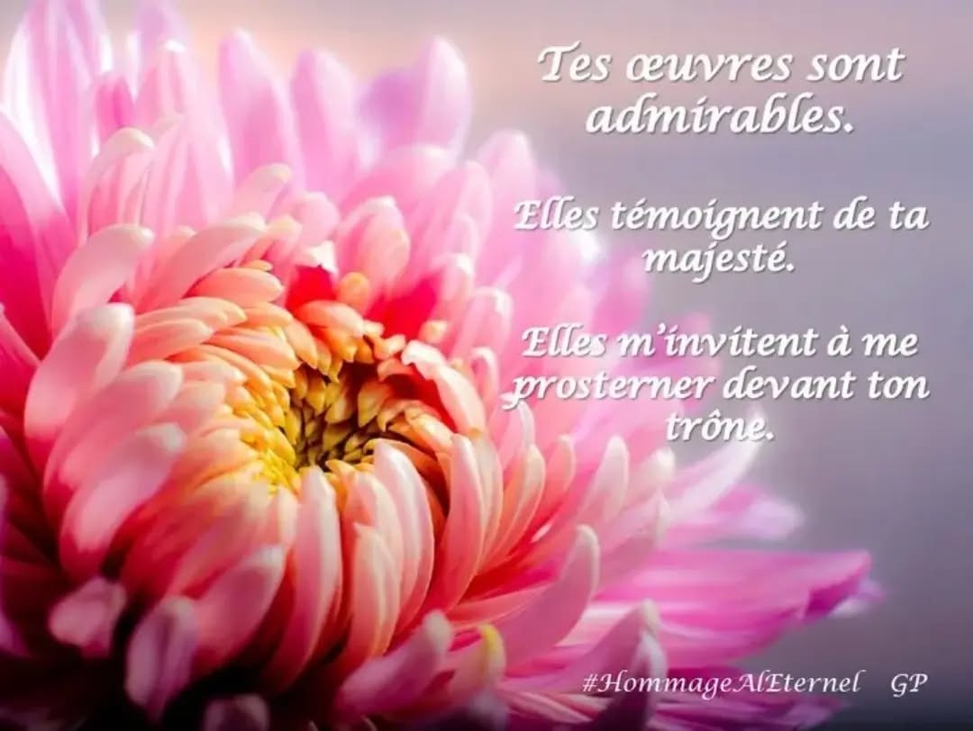 Tes œuvres sont admirables. Elles témoignent de ta majesté. Elles m'invitent à me prosterner devant ton trône.
#hommage #eternel #amour