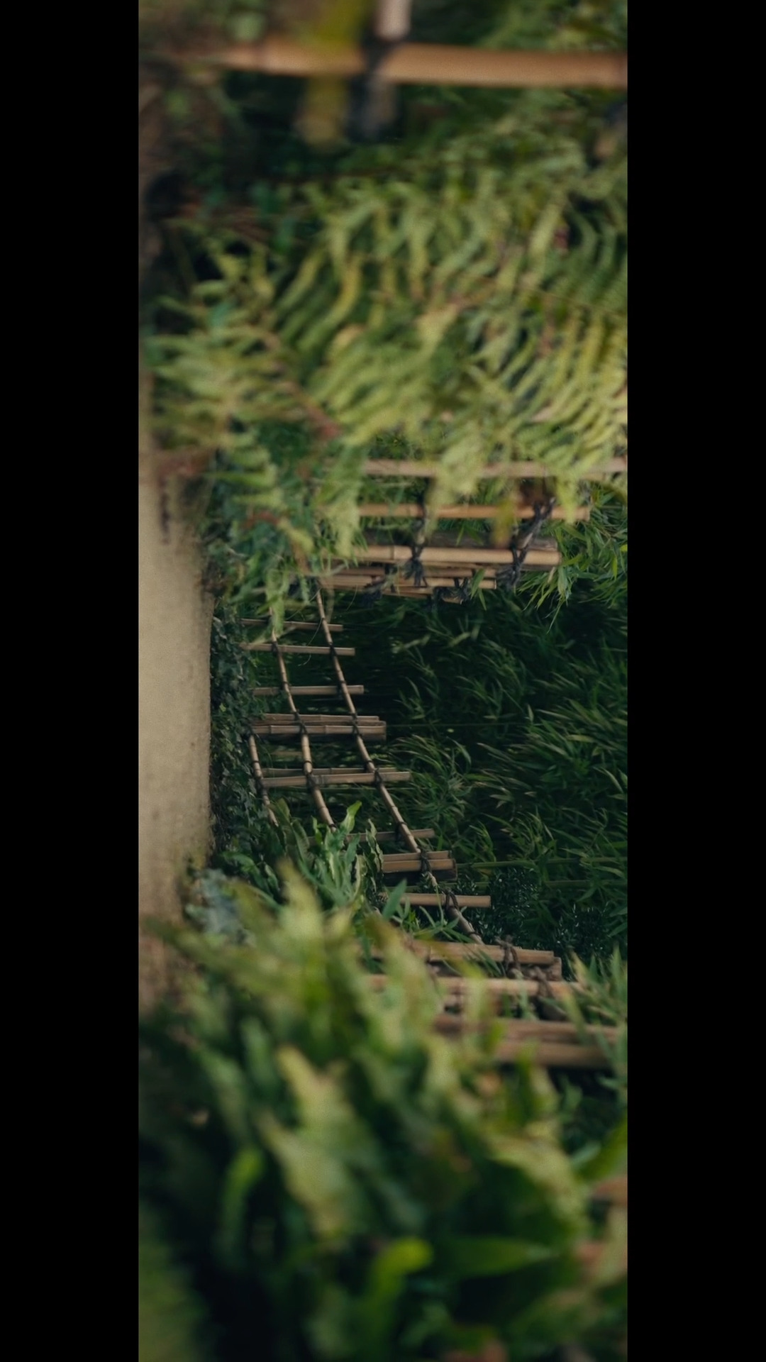The path - Doubt 1
Réalisation Greg Habert
Musique: Flow away par Yuri Leontiev
Droit musicaux par Artlist.io to Greg Habert
Matériel
@sony.france fx3
@sirui_eu saturn 75mm
@atomos.global shinobi 2