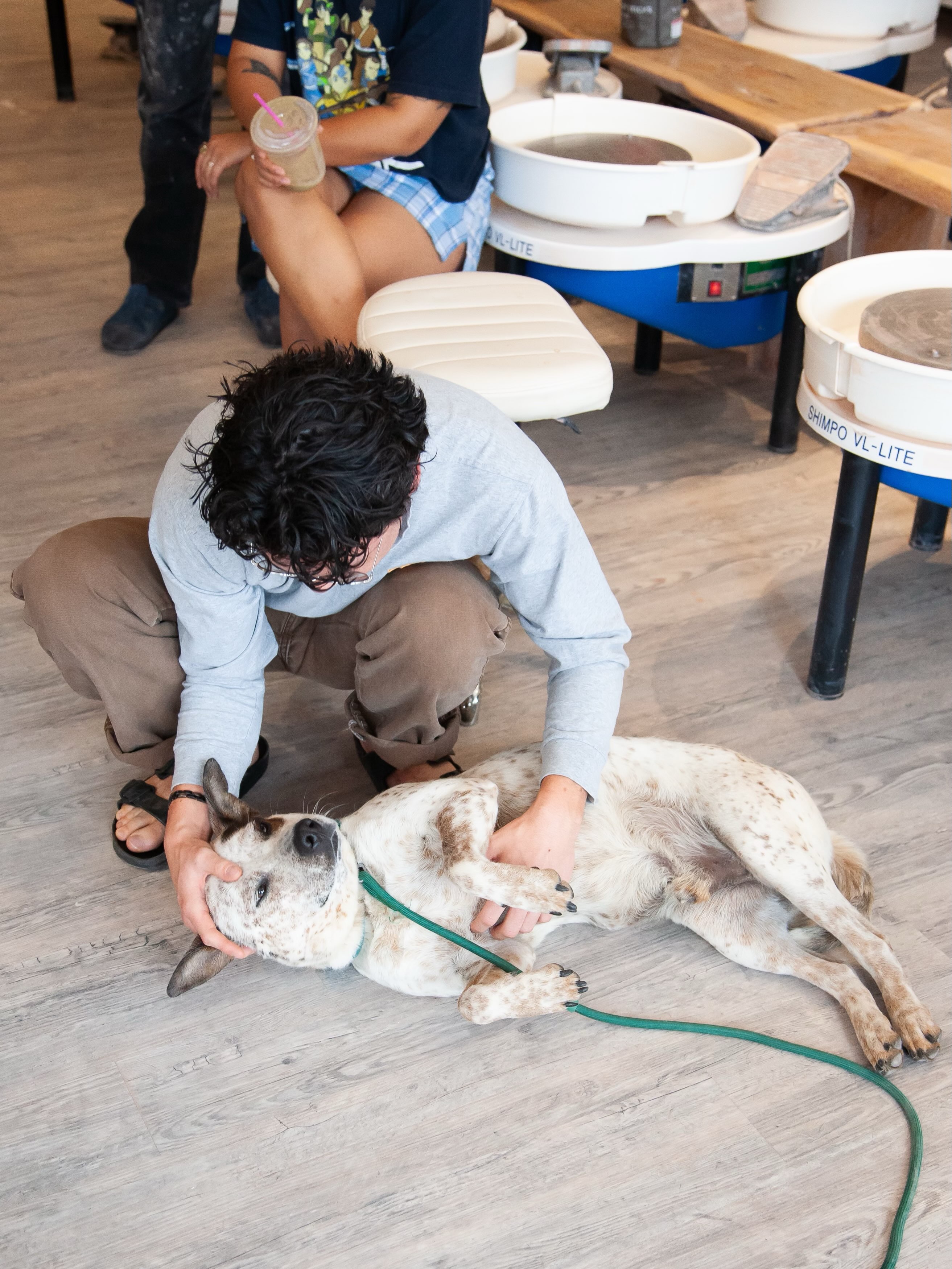We had the best time today at Pottery for Pups with @nashvillepottery! 💙
All of our dogs had such a fun day meeting everyone, soaking up attention, and showing off their personalities — but we have to admit, Guppy was the standout star. 😂 His completely laissez-faire attitude charmed just about everyone he met. Nothing fazes this guy, and he was more than happy to simply hang out and enjoy the day.
A huge thank you to everyone who came out, participated, loved on our pups, and supported RARE. And an extra special thank you to Nashville Pottery for putting together such a fun event and supporting our animals!
We’re already looking forward to the next one. 💙
#fosteringsaveslives #adoptdontshop #nashville #dogsofinstagram #fyp