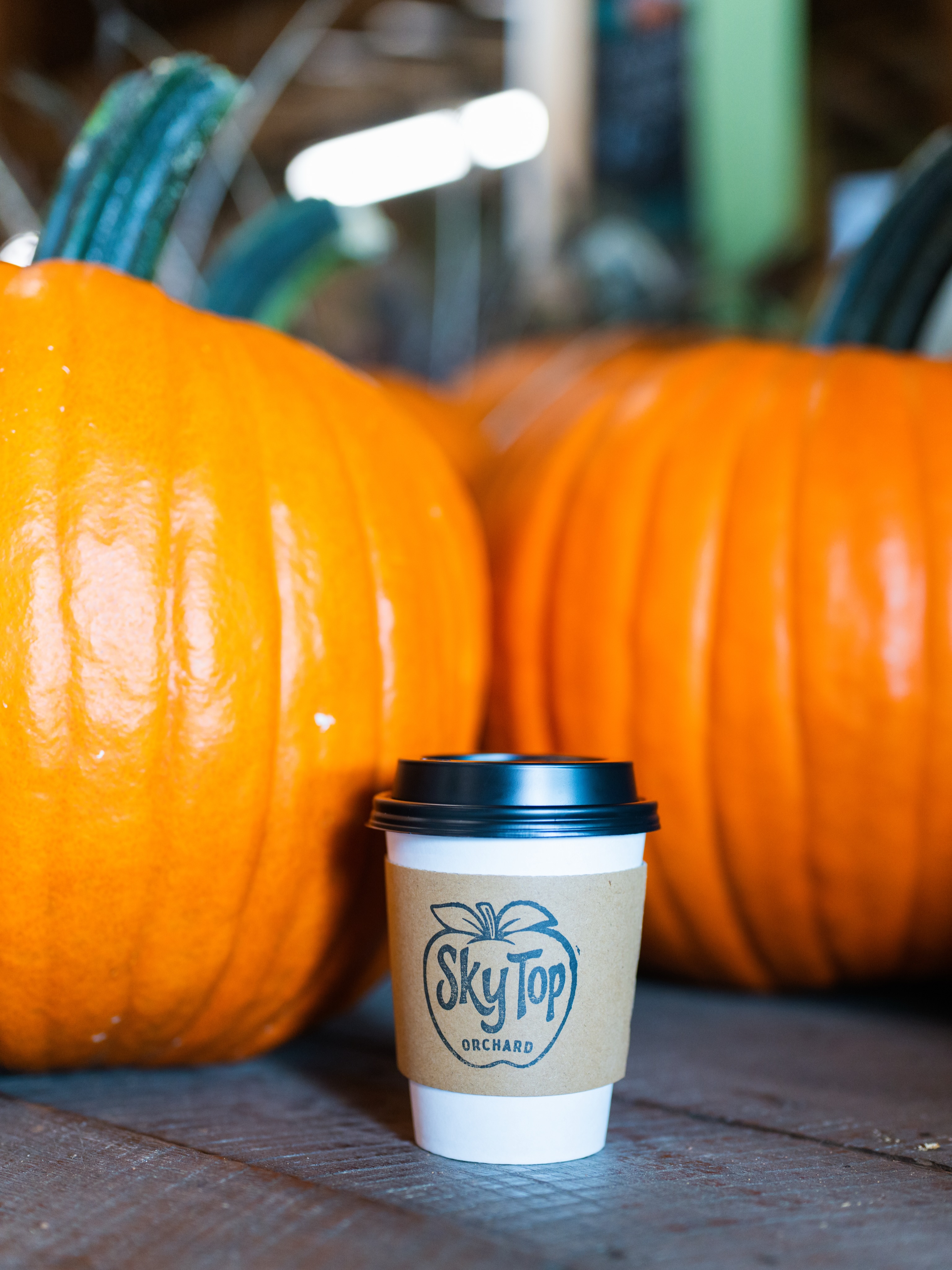 A little rain isn’t stopping fall around here. 🎃☕️We’re open rain or shine today, and honestly… a drizzly Sunday at the farm sounds pretty cozy to us.
Come pick out your perfect pumpkin, sip something warm, get some apples to bake a pie, and enjoy all those fall feelings without the usual October weekend crowds. 🍂
Grab your boots and come see us! 🍏🎃