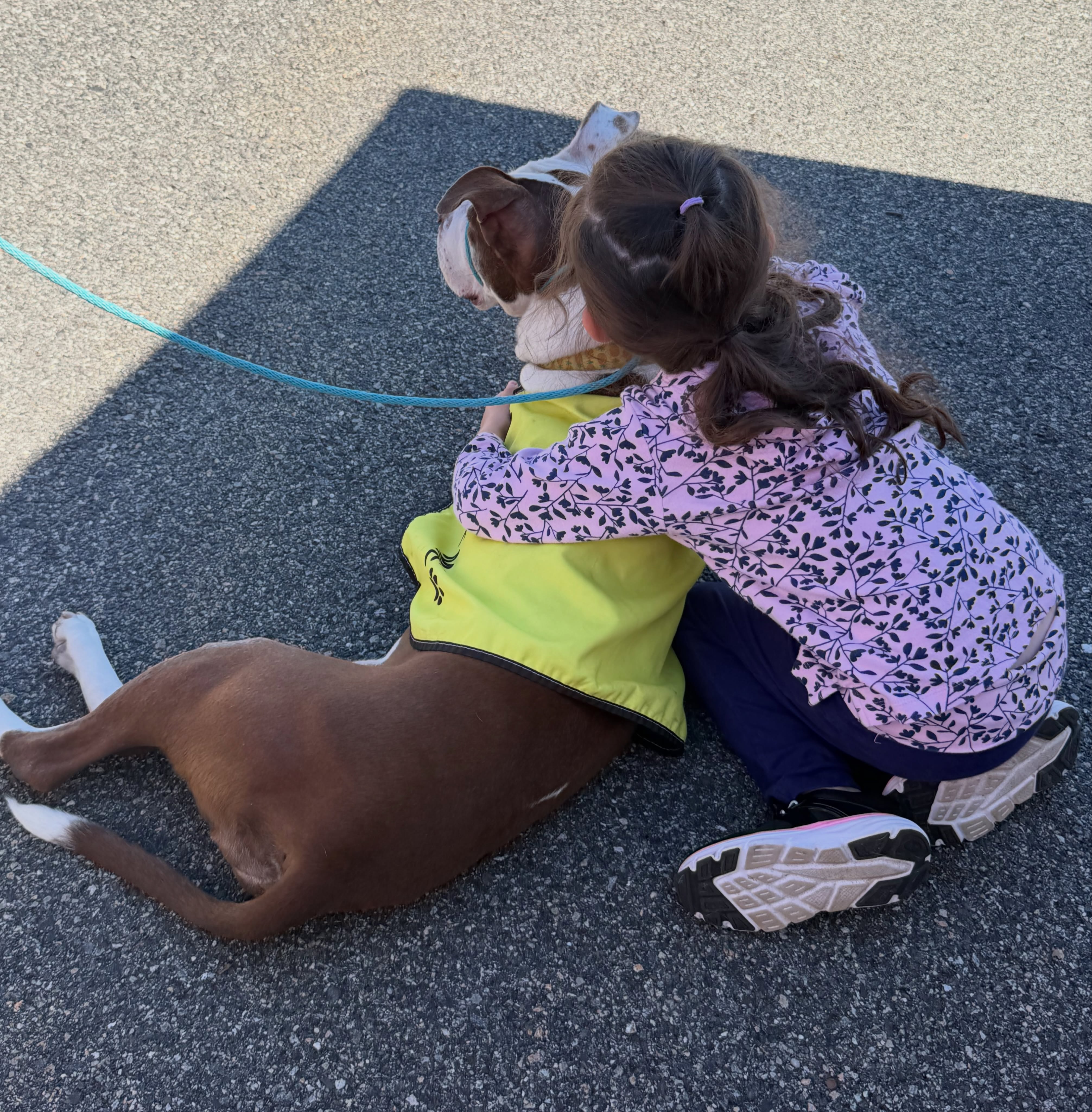 How many times can a dog watch everyone else go home before she starts wondering why nobody chooses her? 💔
Adoption event after adoption event, everyone meets Amber and falls in love with her. They tell us how sweet she is. How beautiful she is. How gentle she is. They stop to pet her, hug her, sit beside her and tell her what a good girl she is. She may be 7 years old, but has the heart and soul of a 3 year old with so much life and love left in her.
But then… they walk away. And Amber stays.
Today was no different. While other people came and went, Amber sat patiently waiting, watching every person who walked by as if maybe—just maybe—this one would be hers.
And when her forever family didn’t come, a sweet little girl sat down beside her and kept her company. So there they sat together. A little girl who didn’t want Amber to have to wait alone… and a dog who had absolutely no idea why she was still waiting at all.
Amber doesn’t need everyone to choose her. She just needs one person or family to finally look at her and say, “You don’t have to wait anymore. You’re coming home with me.” Please don’t let Amber spend another adoption event watching families walk past her.
Her forever has to be out there somewhere. Please help us find them. 🐾💔
TO ADOPT:
Email: Southernpawsrescue@gmail.com
Or Apply on our website: Southernpawsinc.org