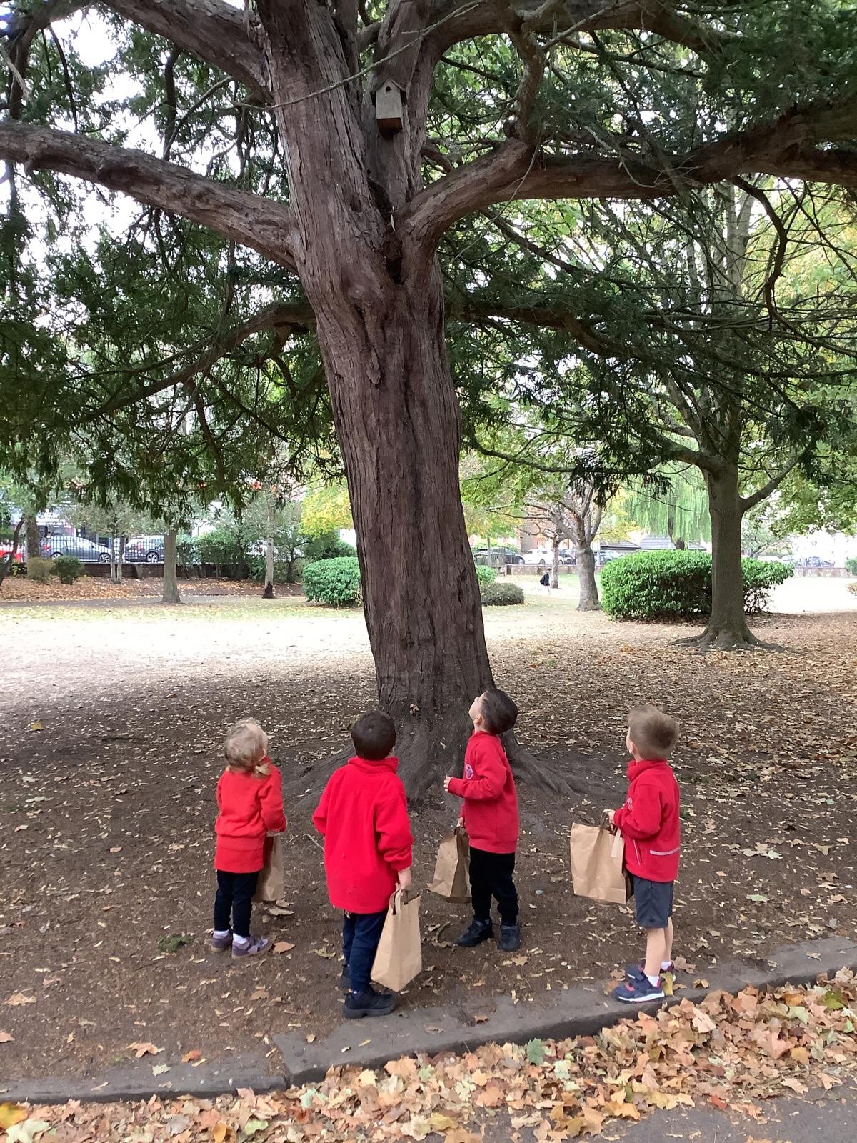The Foulds Preschool intrepid explorers are at it again! 🍂🍁
We ventured to Ravenscroft Park for a spot of leaf collecting and bird watching. Armed with their keen observation skills, the children set about gathering the most beautiful autumn leaves they could find.
But the real excitement came when we discovered a bird box nestled in one of the trees. The children were absolutely fascinated, watching with rapt attention for any signs of feathered friends.
“Leaves of gold and leaves of red,
In the park, we find our bed.
Birds above, in boxes high,
Watching, learning, you and I.”
#fouldspreschool #autumnadventures #leafcollecting #birdwatching #learninginnature