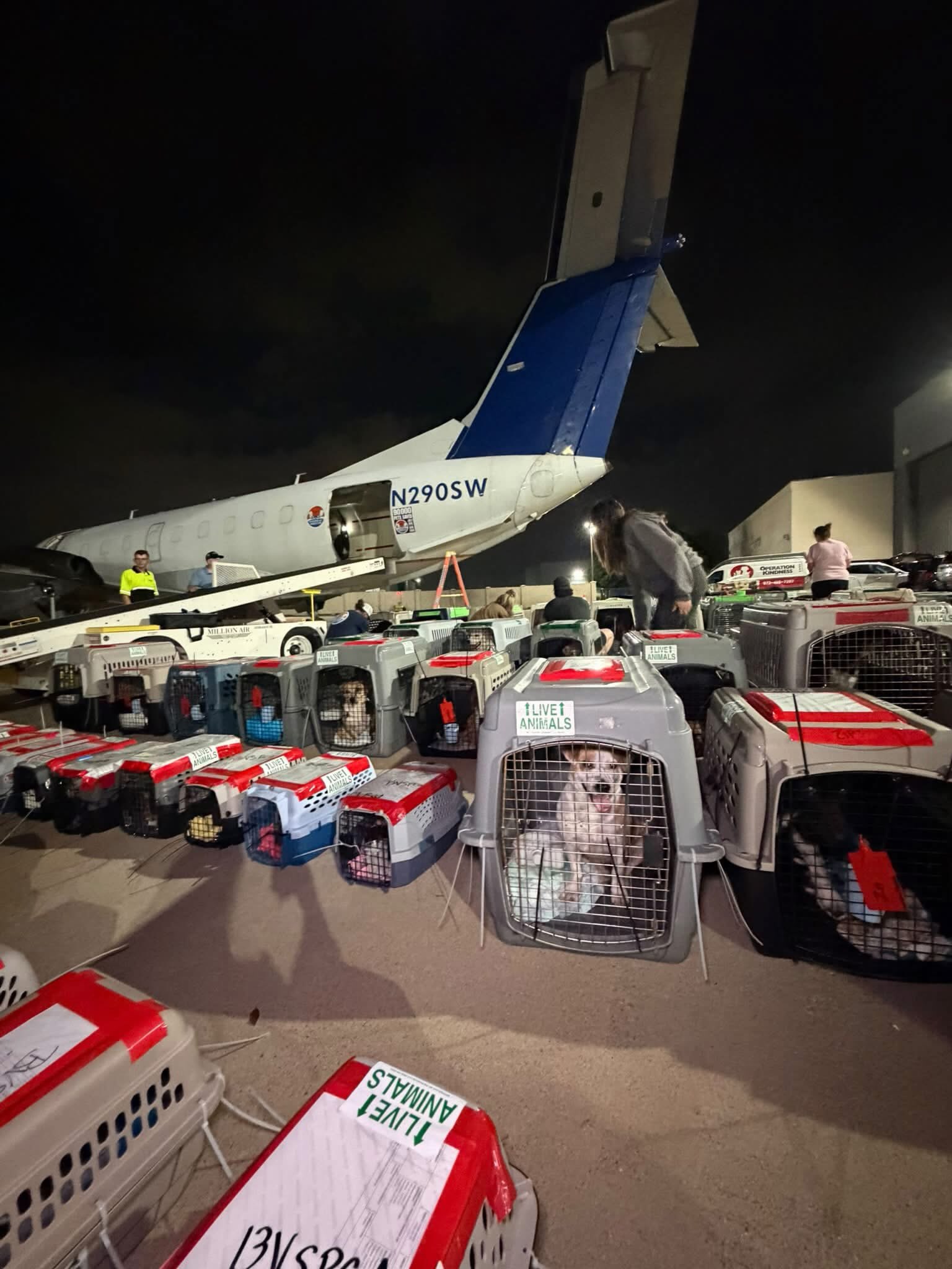 95,000 is hard to picture.
So picture this:
If you lined up 95,000 pet crates end to end, they would stretch roughly 45 miles. 🐾✈️
45 miles of second chances.
45 miles of pets who needed somewhere else to go.
45 miles of lives moved toward safety and a better future.
We’re almost at 95,000 pets flown.
Thank you for helping us get them there.
Support our mission through the link in bio.
#LetTheFurFly #AnimalRescue #PetTransport #ShelterPets