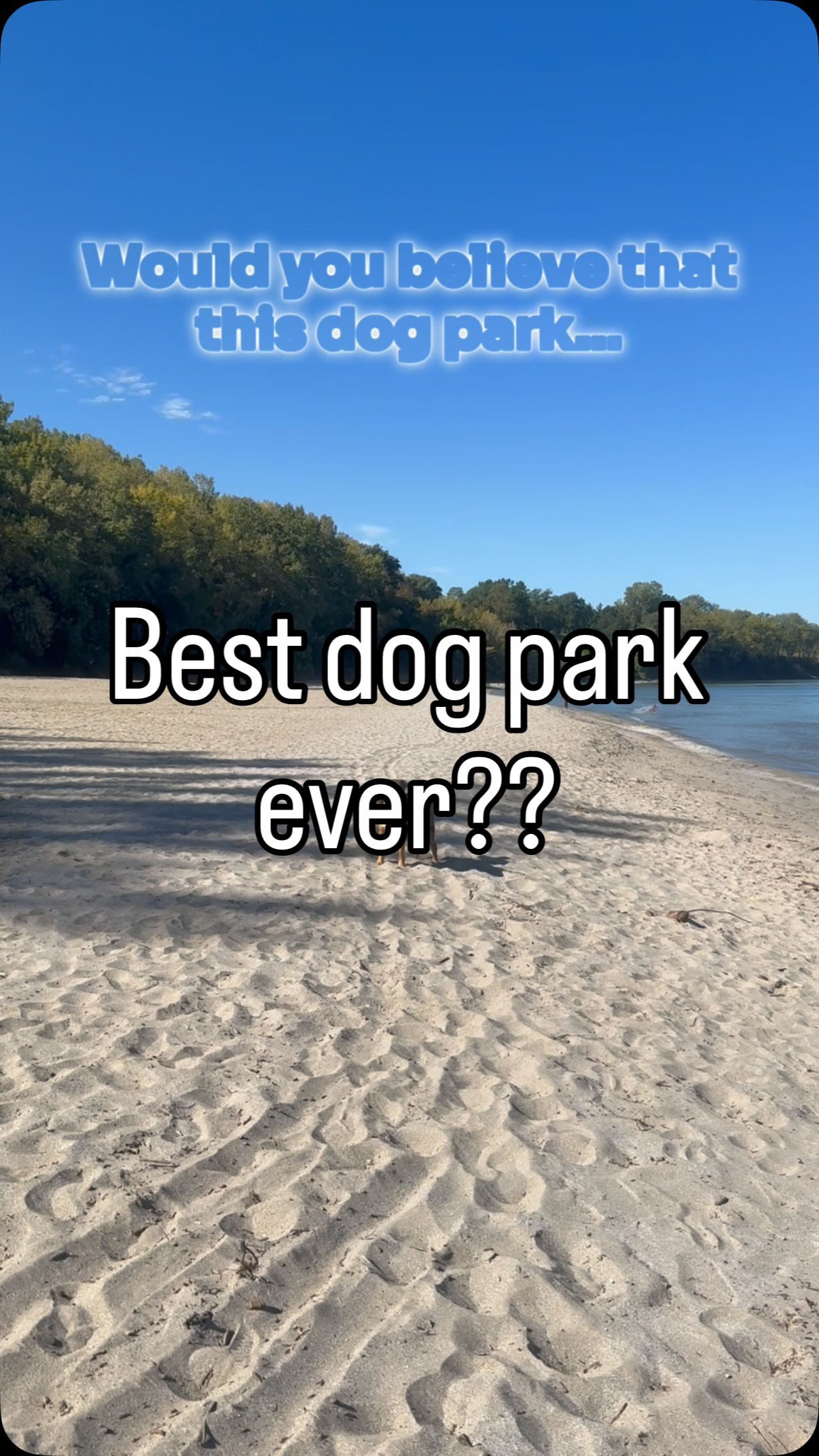 “Why would you ever want to live in Cleveland? 🤮”
That’s okay, I wouldn’t expect you to understand, but if you know, YOU KNOW 😉 Cleveland is my favorite place that I get to call home💞 since moving here Barney and I have both been the happiest versions of ourselves and that’s all that matters to me 😊
Xo, Steph
#cleveland #ohio #dog #dogpark