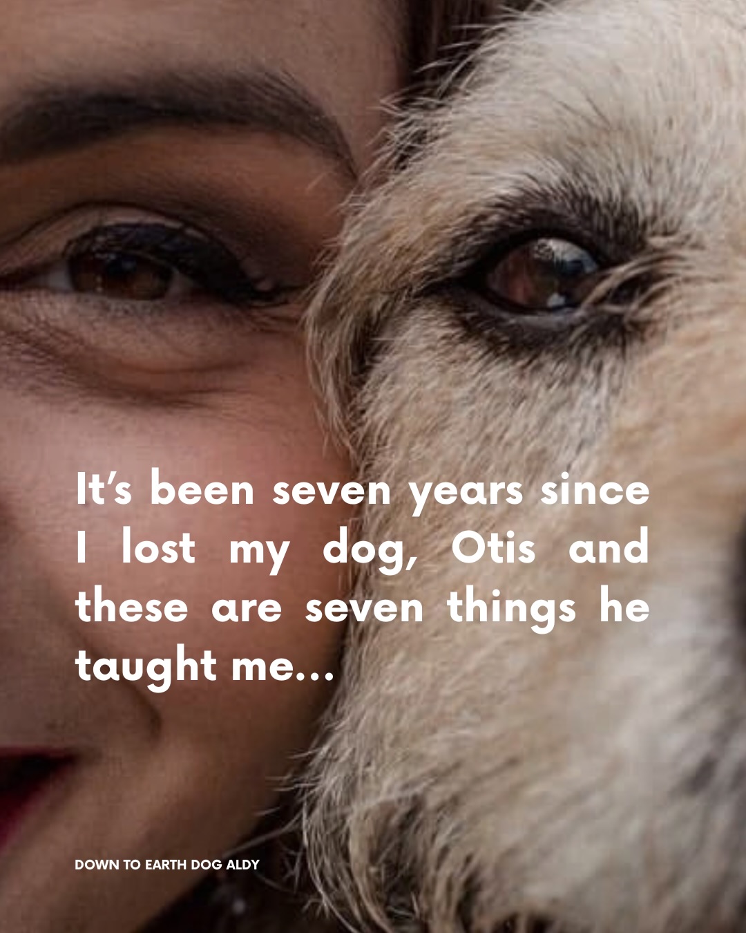 Otis, sweet boy. He taught me so much about what it means to be a dog guardian and offered so much insight into life as a dog trainer.
Our life together was shorter than I wanted, yet so big and full of love; that is my wish for every one of my clients that I work with to see life with their dog as one big adventure...no atter how much time you have together.
And I know Otis would have wanted that too.