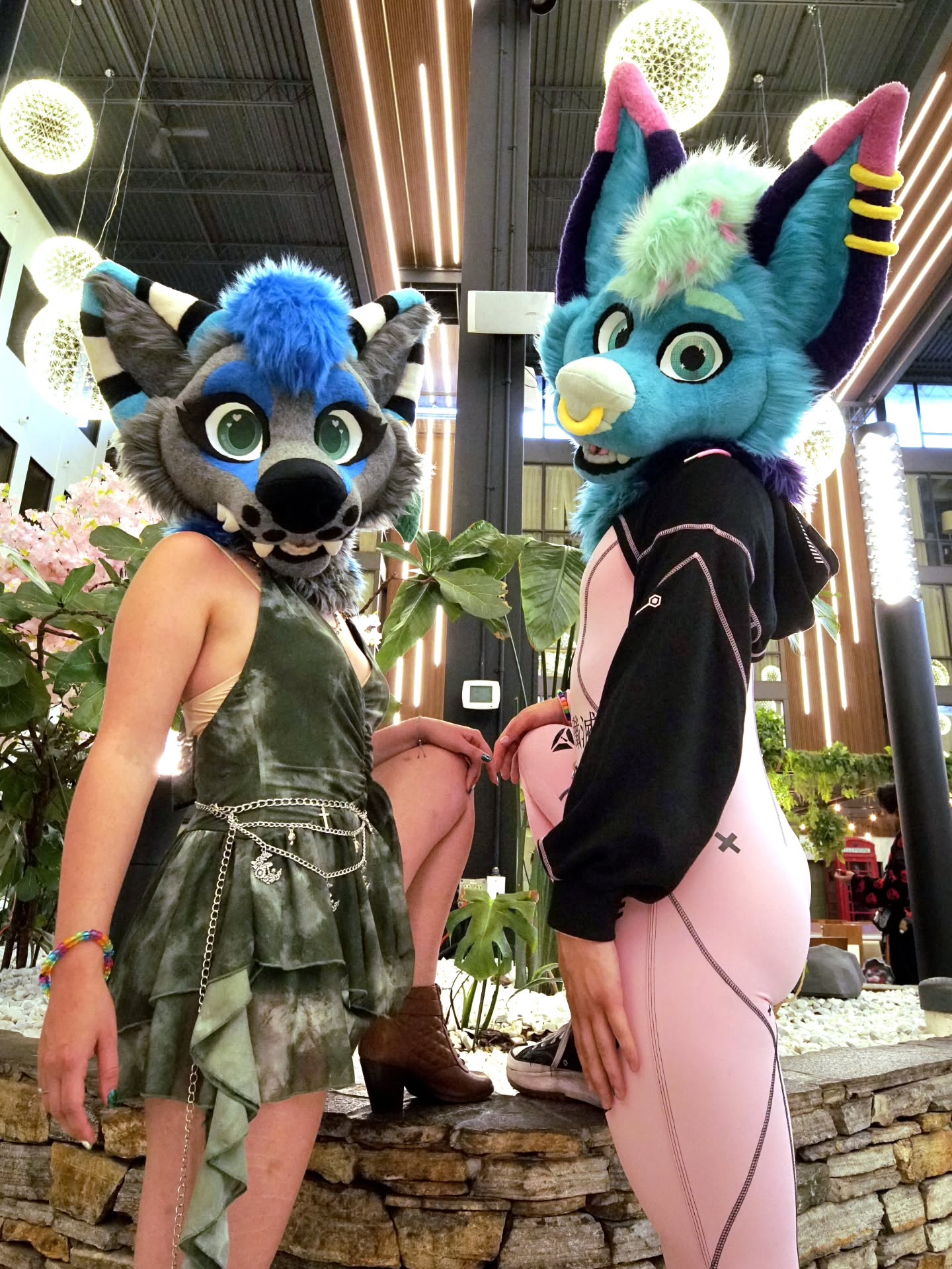 Happy anniversary sweet pea πΆππ¦
I love adventuring through life alongside you. You are my happiness, my light, my protector, and always my number 1 choice. I love you with all my heart, my life changed for the better with you in it. To many more years of slaying in outfits together π₯Ήπ
-
#furries #furry #fursuit #furrycouple #slayqueen