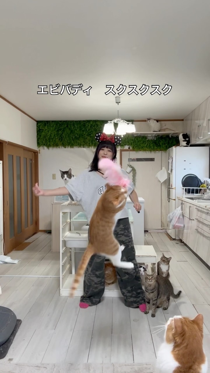 猫は遊びたい時にしか遊ばないです^_^
#猫じゃらし歴
#もふもふテレビ