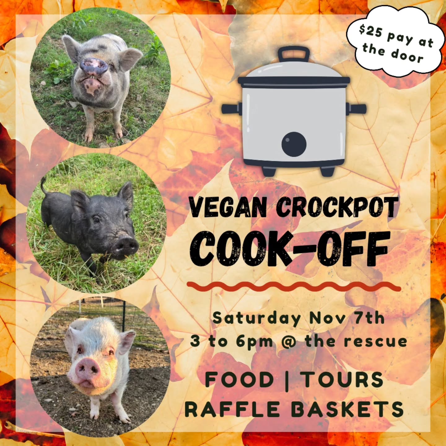 Only a month away... it's our annual Vegan Crock Pot Cook-off!
EVENT DETAILS
š WHERE: at the rescue, 130 Lampus Ln, Tarentum PA 15084
š WHEN: Saturday November 7th 3-6pm
šµ Entree is $25 per person, with a $5 discount if you bring a dish to compete. Kids under 18yo are free.
š Bring an uncut pumpkin and get a FREE Squealers sticker!
š± All dishes must be vegan - meaning no eggs, dairy, honey, or other animal products.
š There are no categories. All attendees will vote on their favorite dish. Winner gets a special trophy.
Hope to see yinz there for our final event of the year šš·
#cookoff #crockpot #animalrescue #pittsburghevents #pittsburgh