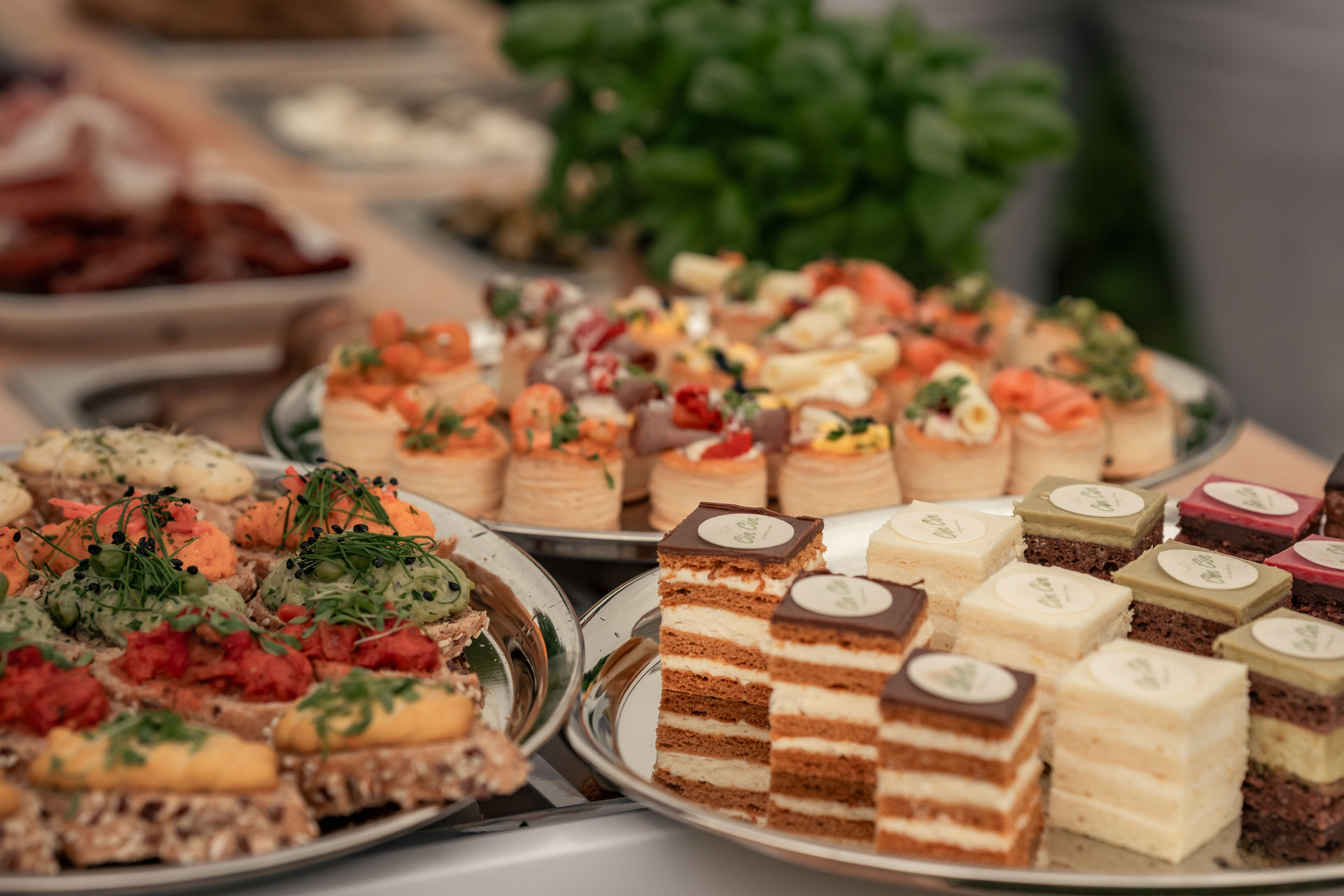Während überall Wiesn-Zeit ist, durften wir letzte Woche das Catering für das Breznfest der @heidihorten.collection übernehmen. 🥨🍻
Zur Blasmusik gab's von uns frische Brezn und Weißwürste, dazu Bier, Prosecco, Apfelsaft & mehr. Die Gäste konnten außerdem als Andenken ihre eigene Holzbrezn basteln.😍
Herzlichen Dank an das Team der Heidi Horten Collection die schöne Zusammenarbeit! 💝
Ihr plant eine Vernissage, eine Ausstellungseröffnung oder ein Event mit vielen Gästen? Wir kümmern uns um das Catering!
Anfragen gerne über den Link in der Bio. 📩
Cin Cin Catering | Event Catering Wien | Firmenevent | Getränkecatering | Markenaktivierung | Fingerfood | Kaffeebar | Eventlocation Wien | Heidi Horten Collection