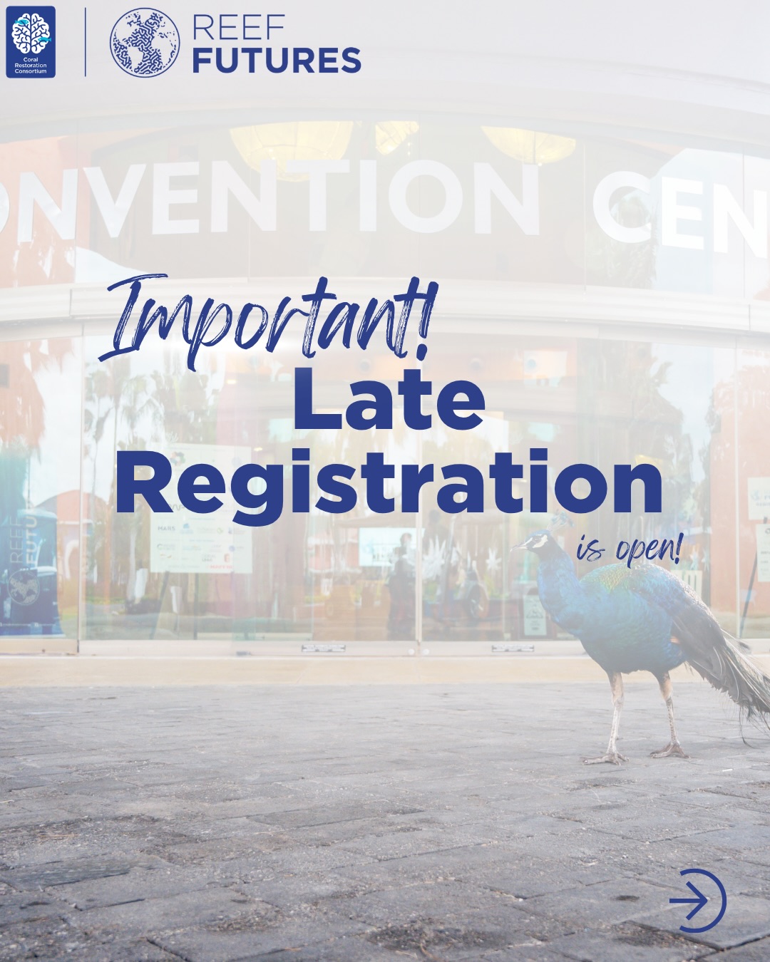We understand, sometimes things happen!
So we’ve decided to open LATE Registration for Reef Futures 2026. Late Registration will close on October 31st or UNTIL SOLD OUT.
So be sure to register as soon as possible to reserve your spot! Space is limited and won’t last long. For more information head to www.reeffutures.com/registration.
*we have also extended the Hotel Room Block until October 31st*
We can’t wait to see you all in just two short months!
📸 @coralrestorationconsortium
#CoralRestoration #RF26 #ReefRestoration #ReefFutures #CoralReef