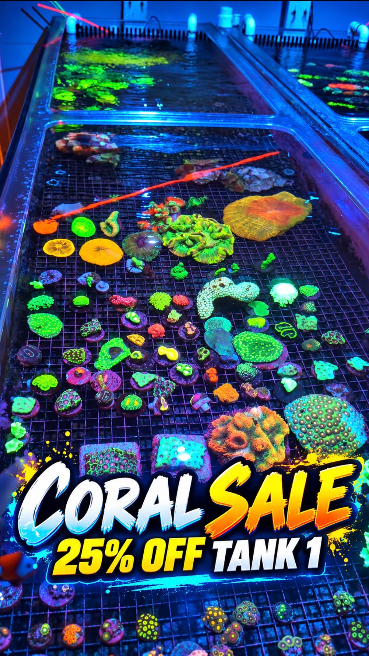 🔥 All Tank 1 coral is 25% off this month!
Then our Anniversary Sale is October 31st don’t miss it!
📍 3816 Sardis Church Rd, Suite 107, Monroe, NC 28110
📞 980-328-0000
🌐 undertheseanc.com
🕒 Tue–Sat 11AM–6PM | Sun 12PM–5PM | Closed Monday