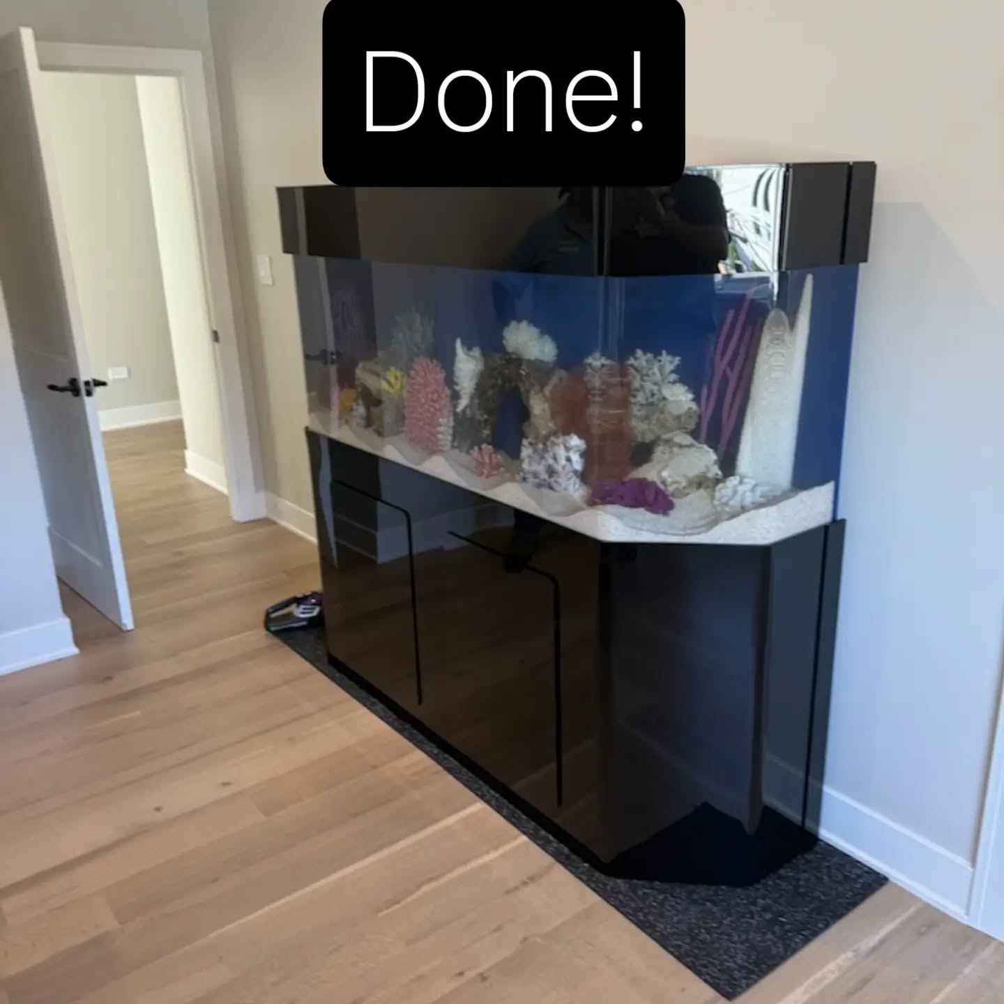 Done! 170 Gallon Flat back hexagon aquarium!
#allmymoneygoestocoral #customaquarium #chicago