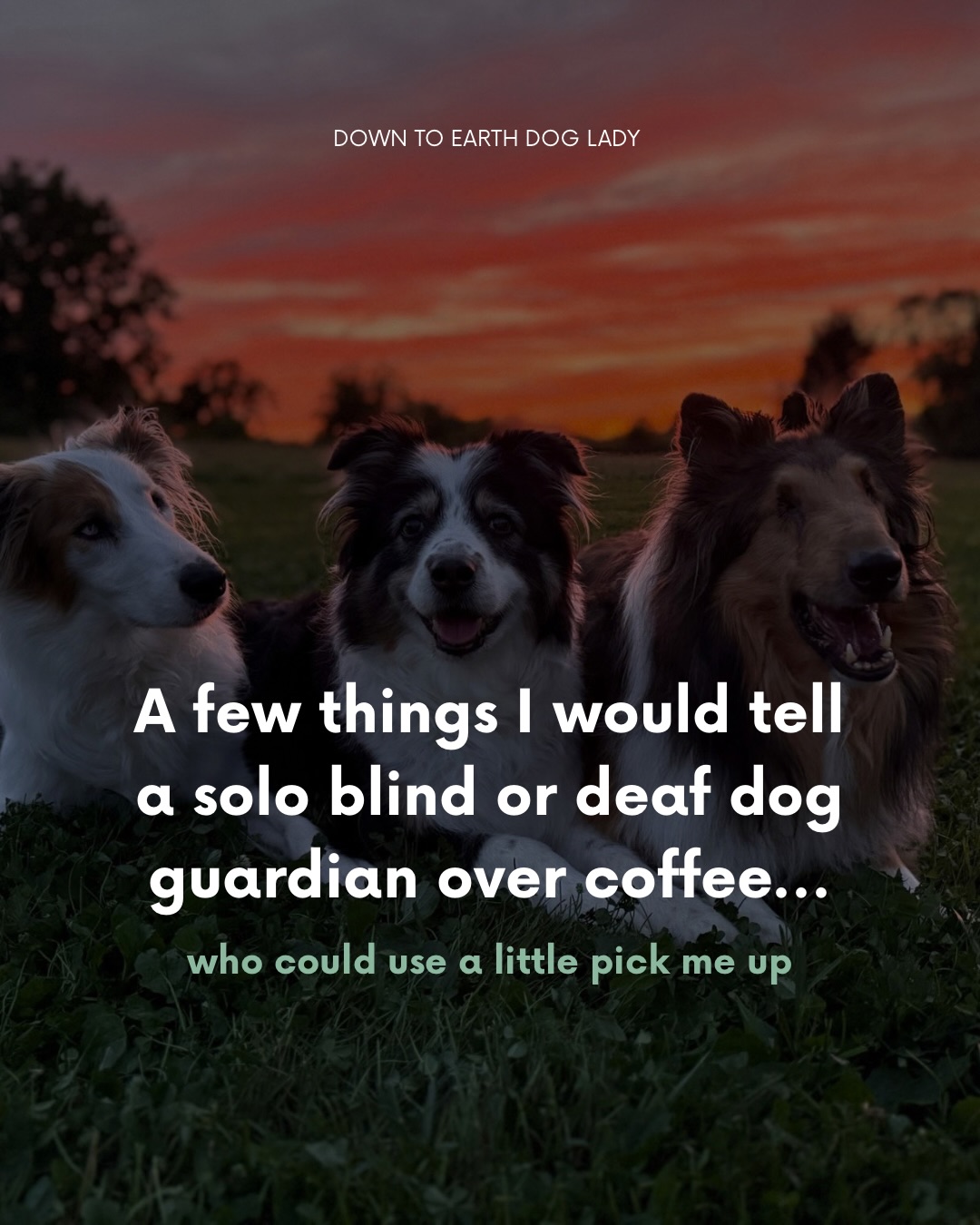 A few love notes to my fellow blind and deaf dog guardians. 💙
This is exactly the type of energy we bring to own To Earth Dog Lady deaf/blind dog support group and let me tell you, there is no kinder or more supportive humans than are in this group.
We meet twice a month to connect with other disabled dog guardians, ask a professional for support and cheer each other on from all over the globe. If this sounds like something you could use in your life, head over to my website to the memberships tab to learn more.