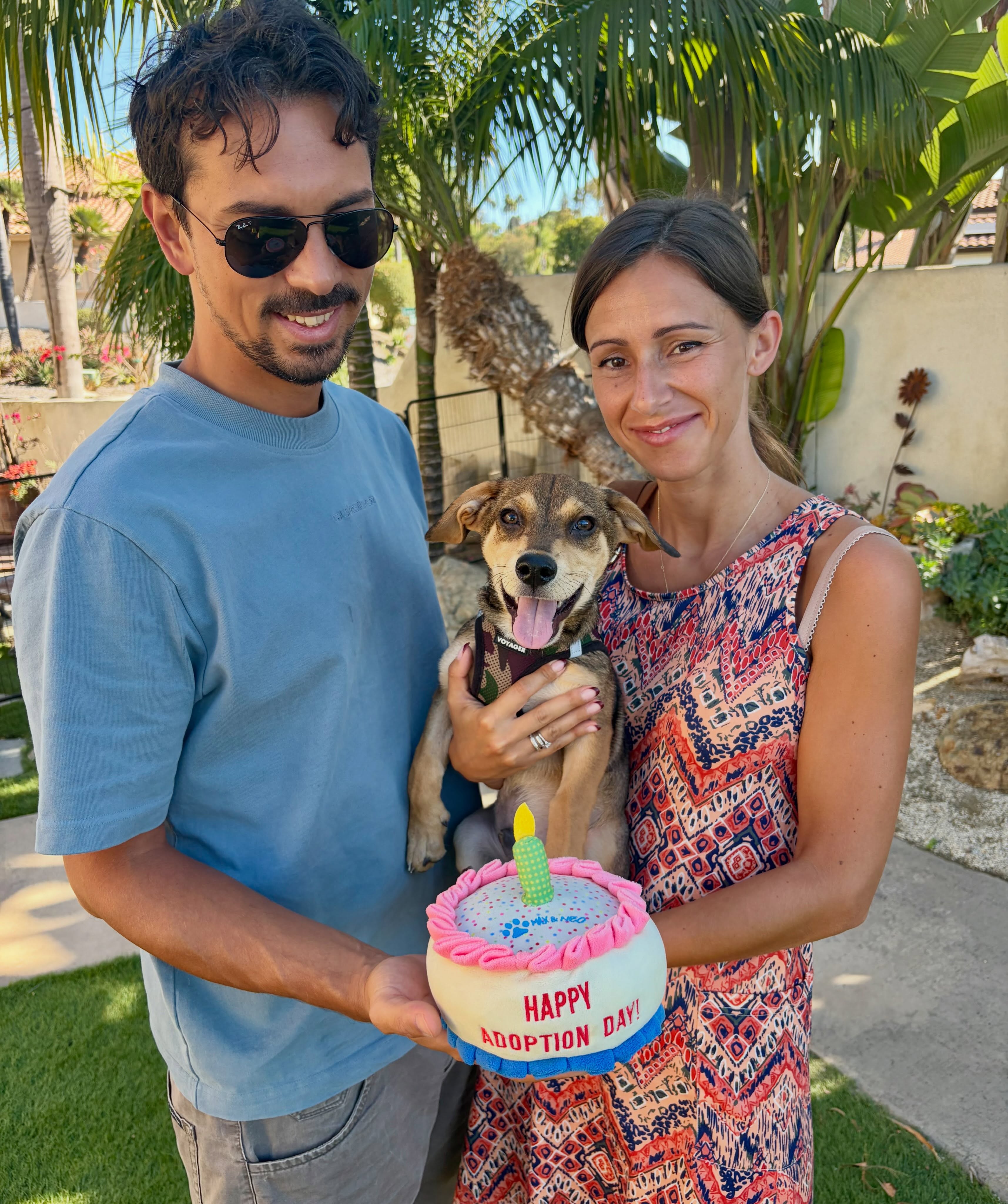 Our little lowrider puppy JONAH'S SMILE says it all! I'VE JUST BEEN ADOPTED!! πβ₯οΈπ
This adorable little boy has several siblings who are looking for their Forever Families too! www.almarescue.org
#rescuedpuppy #adoptdontshop #rescuedisourfavoritebreed #puppylove #almarescue