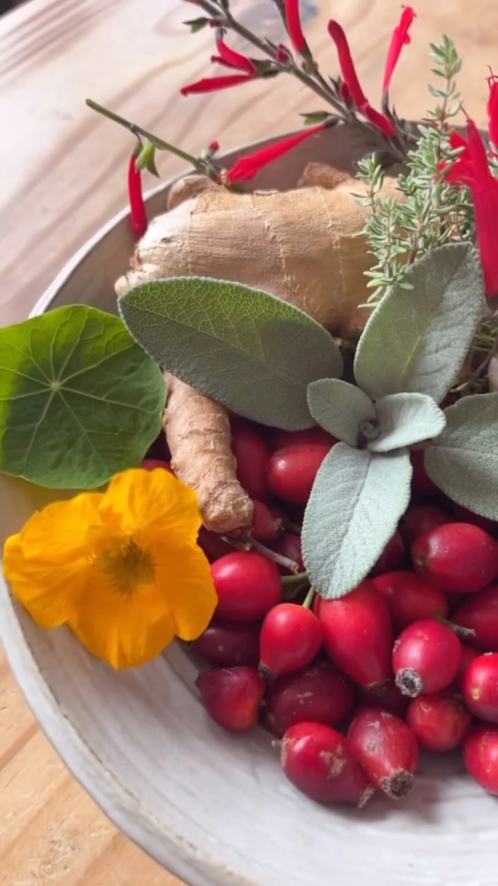 Fit durch den Herbst 🍂
Heut zeig ich euch mein liebstes Oxymel Rezept.
Die Hagebutten enthalten sehr viel Vitamin C. 10x mehr wie Zitronen- Mega oder? Das beste ist du findest sie jetzt gerade sehr häufig. Aber immer drauf achten, dass du genug für die Wildtiere übrig lässt.
In mein Oxymel kommt außerdem Kren (Meerrettich) Kapuzinerkresse, Kurkuma, Ingwer, Thymian, Salbei, optional eine Chili, und wenn du magst, ein Stück Bio Orange oder Zitrone. Außerdem brauchst du regionalen Honig und Natur drüben Apfelessig und ein sauberes Glas.
Hagebutten im Idealfall entkernen , wenn dir das zu mühsam ist geht es auch mit Kernen- in dem Fall einfach danach einfach Filtern.
Jetzt kommen alle sauberen Zutaten in einen Mixer gemeinsam mit dem Essig , gut durchmixen. Das Glas fühlst du, halb voll mit Honig und den Rest dann mit dem Essiggemisch auffüllen. Alles gut vermischen und für mindestens zehn Tage stehen lassen. Immer mal wieder umrühren.
Am besten durch ein feines Tee-Sieb filtern wenn du die Hagebutten mit den Kernen verwendest. Dann in eine Flasche füllen.
Jetzt kannst du es auch schon genießen .
1-2 EL Oxymel auf ein Glas Wasser.
Super für dein Immunsystem und zur allgemeinen Stärkung !
Wenn du noch Fragen hast, meld dich gern bei mir 🤍
Viel Spaß beim nachmachen ,
Alles Liebe, deine Meli mint
#kräuterliebe #gesundheit #immunsystem #immunboost #herbst
