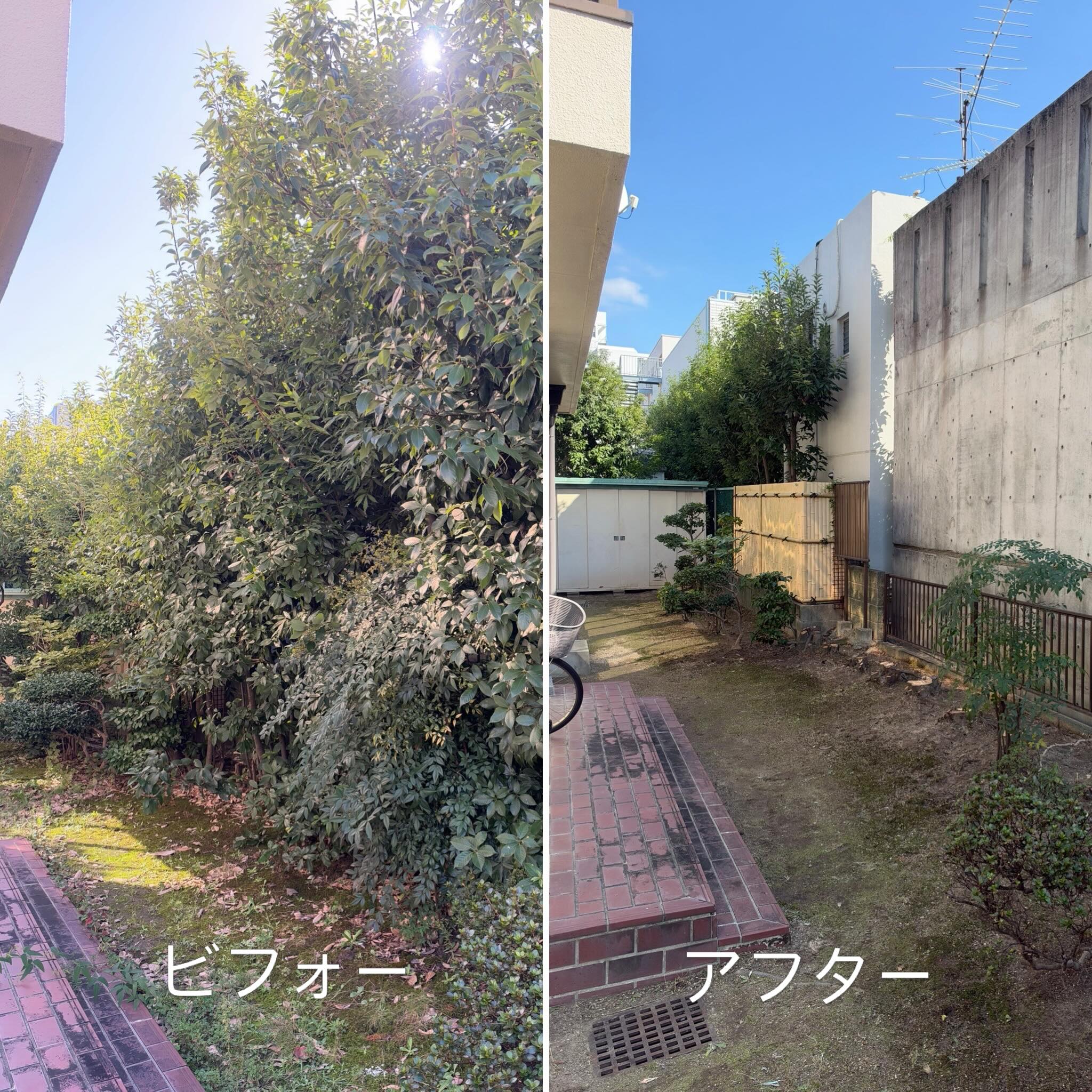 空き家のお庭の管理です。お隣様への配慮と防犯対策として、伐採、除草、剪定のご依頼を頂きました。
#空き家管理
#伐採
#除草
#剪定
