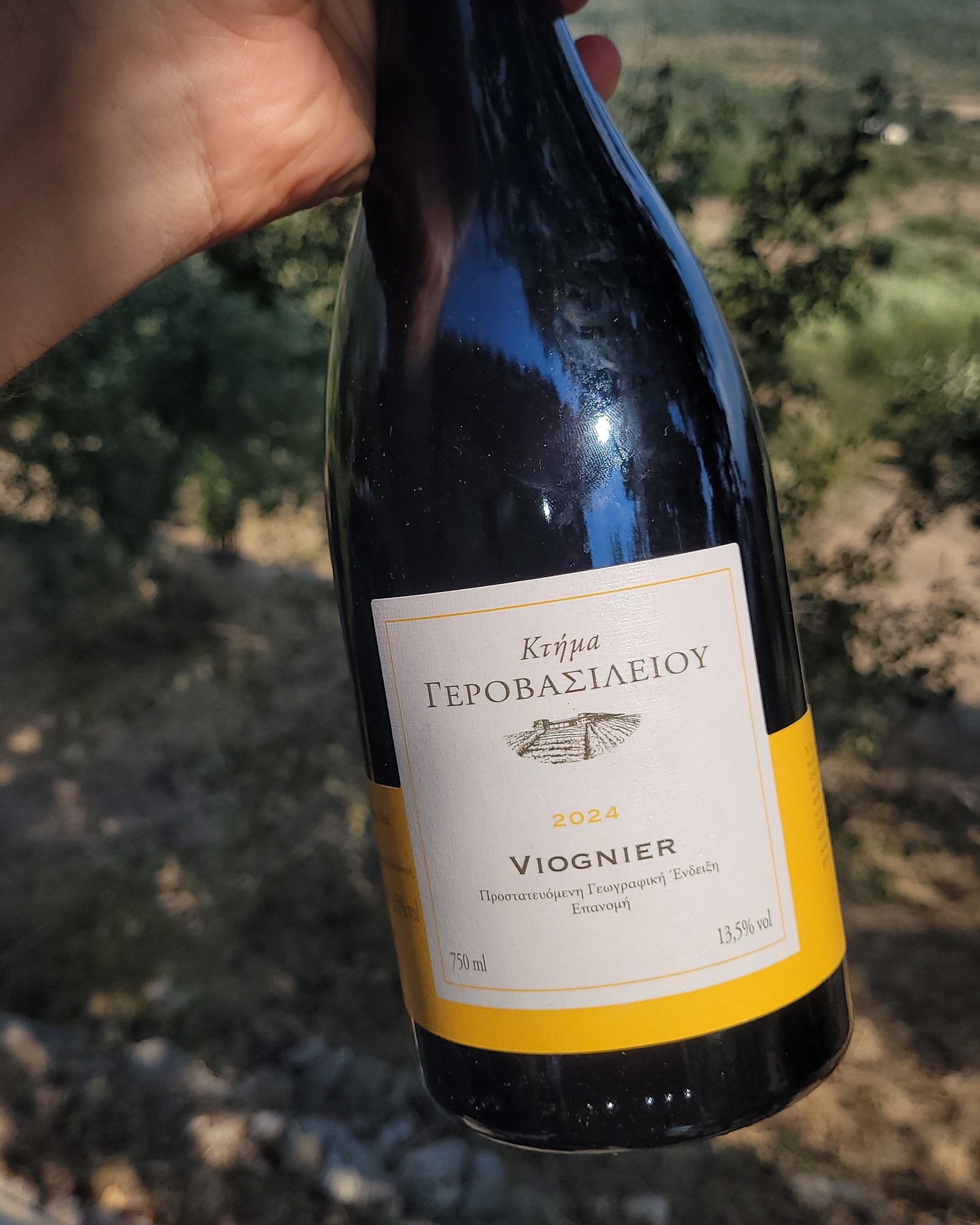 For me the estate's best white – year in, year out.
Ktima Gerovassiliou Viognier 2024 – Epanomi, Macedonia | 93/100 🍷
This Viognier exists because Ktima Gerovassiliou (@ktima_gerovassiliou) planted the Rhône variety in 1993 as a joint trial with the agricultural faculty of Aristotle University of Thessaloniki, to see whether it would work in Epanomi. Today it's a 100% varietal from the estate vineyard at Papamola – sandy-loam, calcareous soils with marine fossils, a few kilometres from the Thermaic Gulf. Fermented in French oak, then several months on the fine lees. At around 25,000 bottles it's a small release, roughly an eighth of what the estate makes of its Malagousia.
2024 was an extreme heat year across Greece. At the estate it brought the earliest harvest ever documented – Chardonnay from 30 July, the Viognier shortly after – with volumes about ten per cent below 2023. Epanomi's coastal position on the Thermaic Gulf buffers the heat, and for the appellation's whites 2024 counts as a very good year.
The nose starts a little restrained: toasted bread, light citrus, then apricot, nectarine and a hint of mango. The palate turns full and creamy, almost sweet-seeming – but that's ripe fruit, not sugar; analytically the wine is dry. Enough acidity carries it, plus a pleasant grip.
The estate's best white, for me, comes down to reliability. No other Gerovassiliou white has delivered so consistently at a high level for me over the years. The Malagousia swings more: the 2020 I had at 95 in 2021, at one year old, the 2021 at just 91 in 2022, at the same age. The Viognier simply holds its level – at around 23 euros in Greece. 93/100.
Full note in our database – link in bio.
Ever had a Greek Viognier? 👇
#GreekWine #Viognier #Epanomi #KtimaGerovassiliou #GreekWhiteWine
