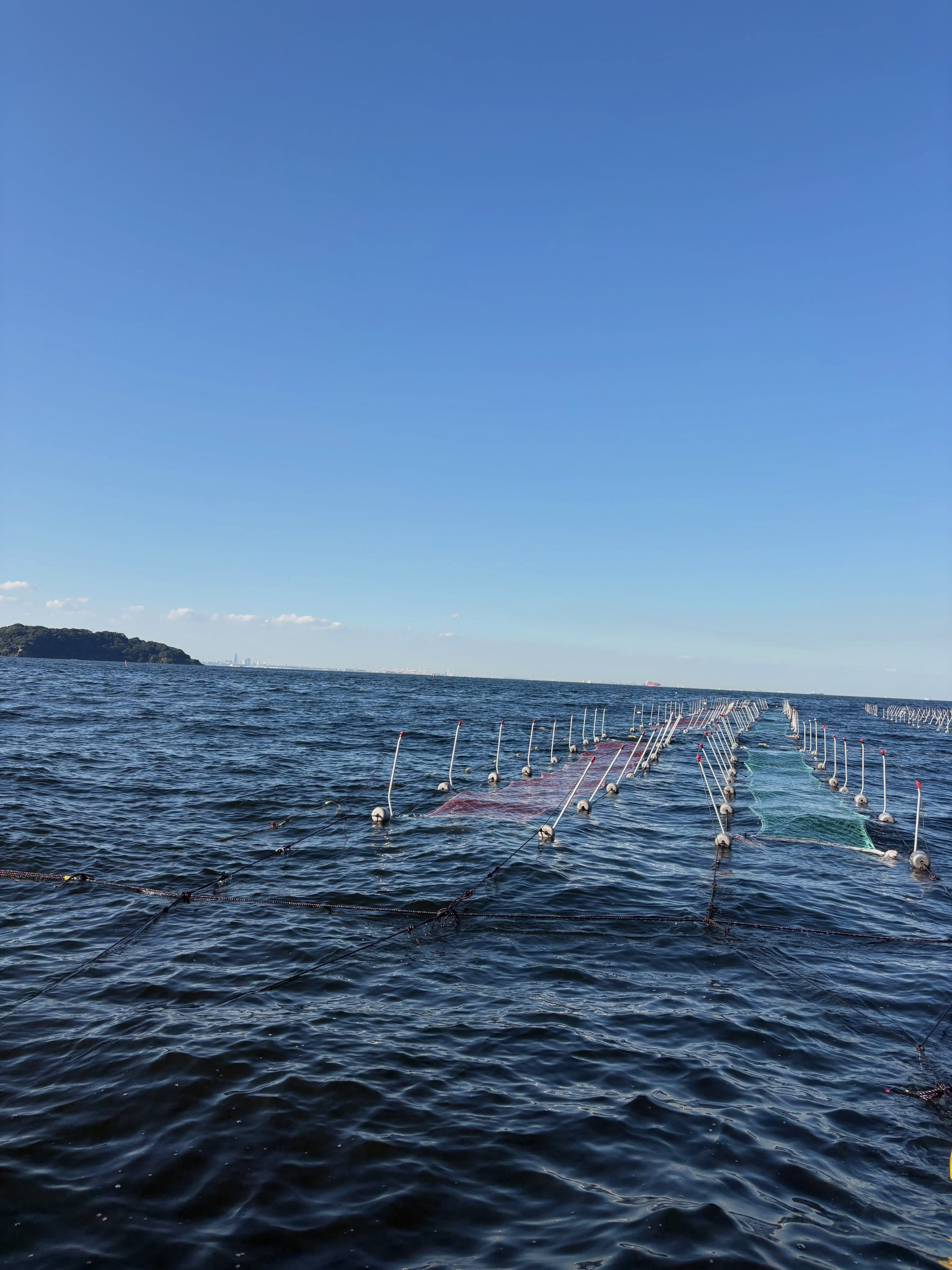 雨の日風の日が続いていたのでバタバタですが海苔網も出し始めて来ました。
安全第一、健康第一、今シーズンも宜しくお願いします◎