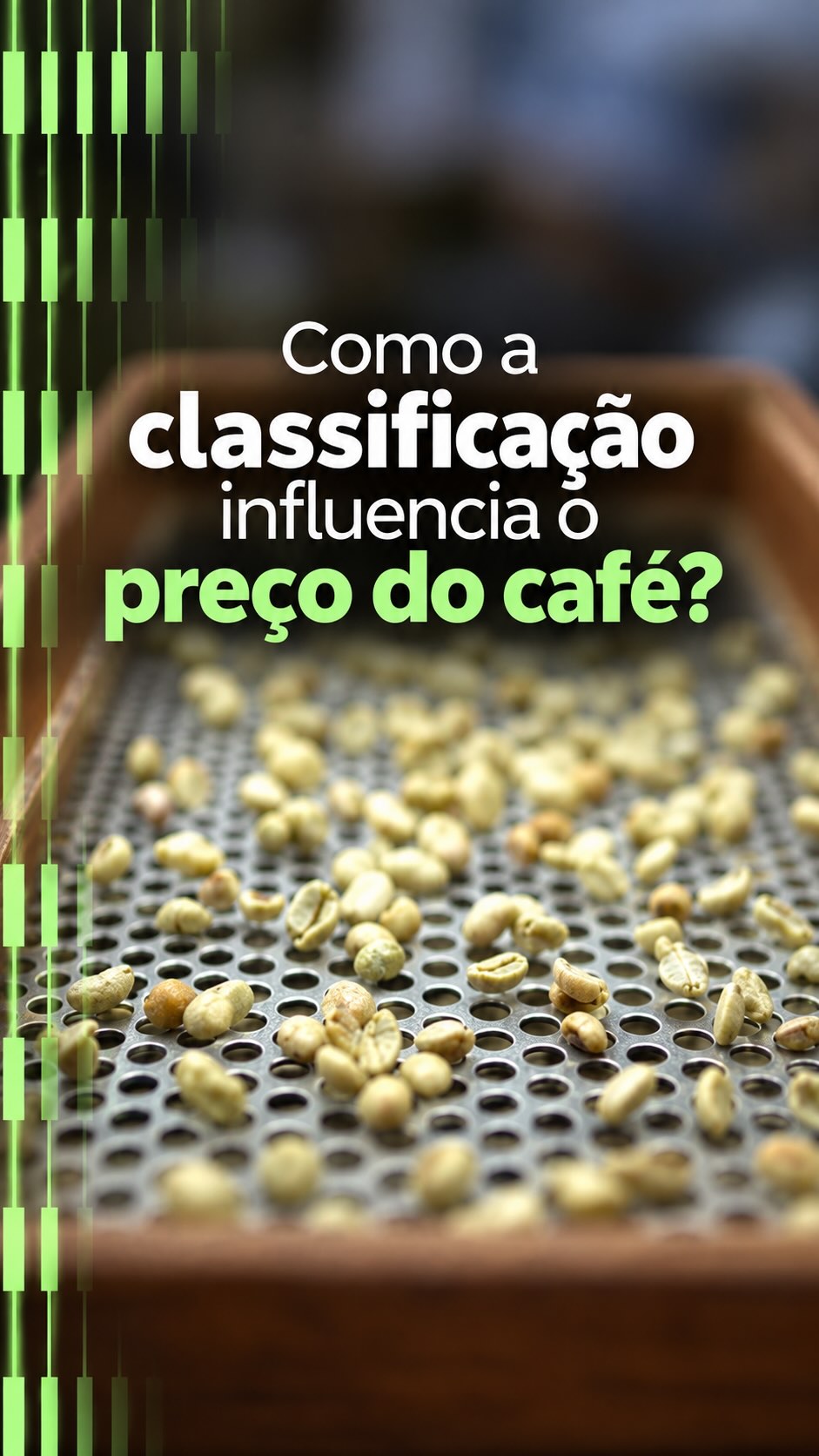 Disso todo mundo sabe, mas eu vou repetir!
A Importância da Classificação do Café na Precificação e no Direcionamento de Mercado
A classificação do café desempenha um papel determinante na formação de preços e na definição dos destinos comerciais do produto no mercado global.
A análise minuciosa dos grãos — avaliando aspetos como qualidade, aparência e tipo — é a etapa crucial que permite determinar com precisão o valor de mercado e selecionar o comprador ideal para cada lote.
“Quando analisamos o aspeto e a classificação do café, conseguimos direcionar o produto para a empresa e para o mercado mais adequados, garantindo uma estimativa real do seu valor antes mesmo da negociação”, explicam especialistas do setor.
Embora existam diretrizes normativas gerais que regem as transações e padronizam o comércio do café, cada empresa do setor adota critérios próprios e diferenciais específicos durante o processo de avaliação. Essa combinação entre parâmetros universais e exigências particulares reforça a relevância da classificação técnica como um elo estratégico para otimizar o valor do café e atender com rigor às demandas do mercado.