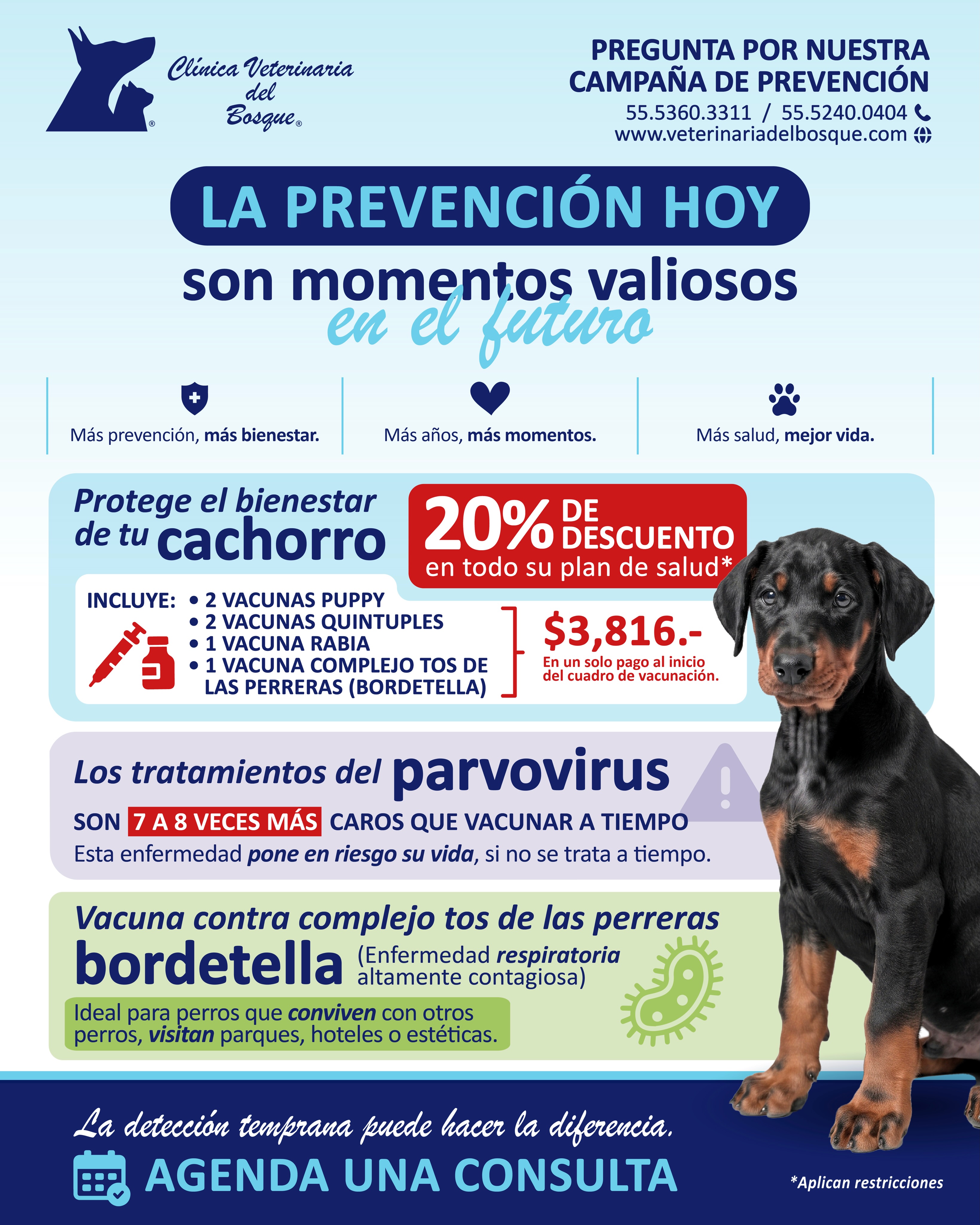 🐶💙 Prevenir hoy son más momentos valiosos en el futuro.
La vacunación, las pruebas de detección y las revisiones preventivas son parte fundamental del cuidado de nuestros cachorros y pueden ayudarnos a detectar riesgos de salud a tiempo.
📌Pregunta por nuestra campaña de prevención y obtén un 20% de descuento en su plan de salud*
📲 55 5360 3311 / 55 5240 0404
#MedicinaPreventiva #SaludCanina #Perros #parvovirus #bordetella