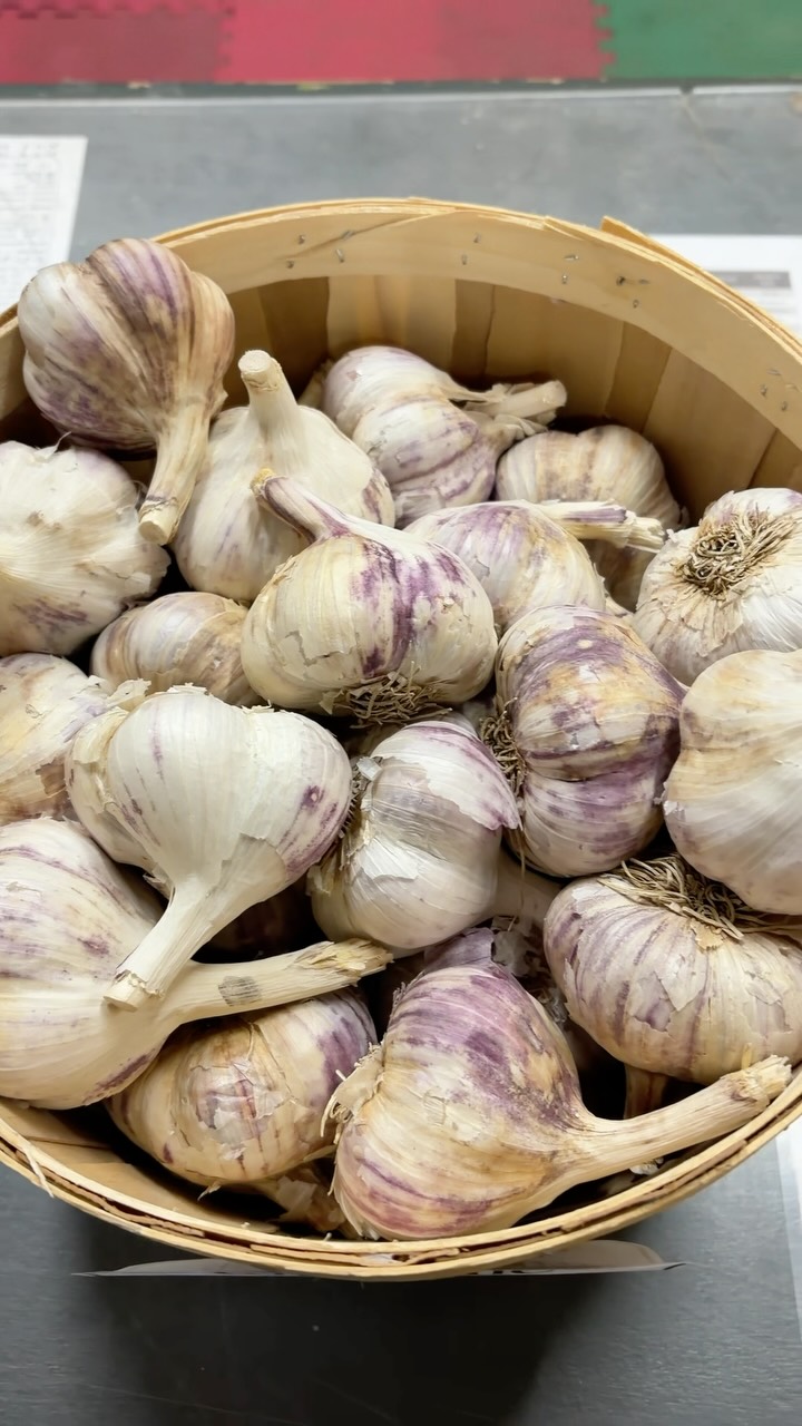 🧄It’s garlic time!! 🧄
Come grab yours today!
Varieties available:
• Organic Red Russian
• Stony Creek Colony Purple Russian
• Purple Glazer
• Duganski
• German Red
• German White
• Bogatyr
• Metechi
• Siberian
• Spanish Roja
• Legacy
• Music
• Coloia
• Persian Star
• Korean Purple
• Gem
• Krandasger Red
#garlic #fallplanting #fallgarlic #planting #edmonton