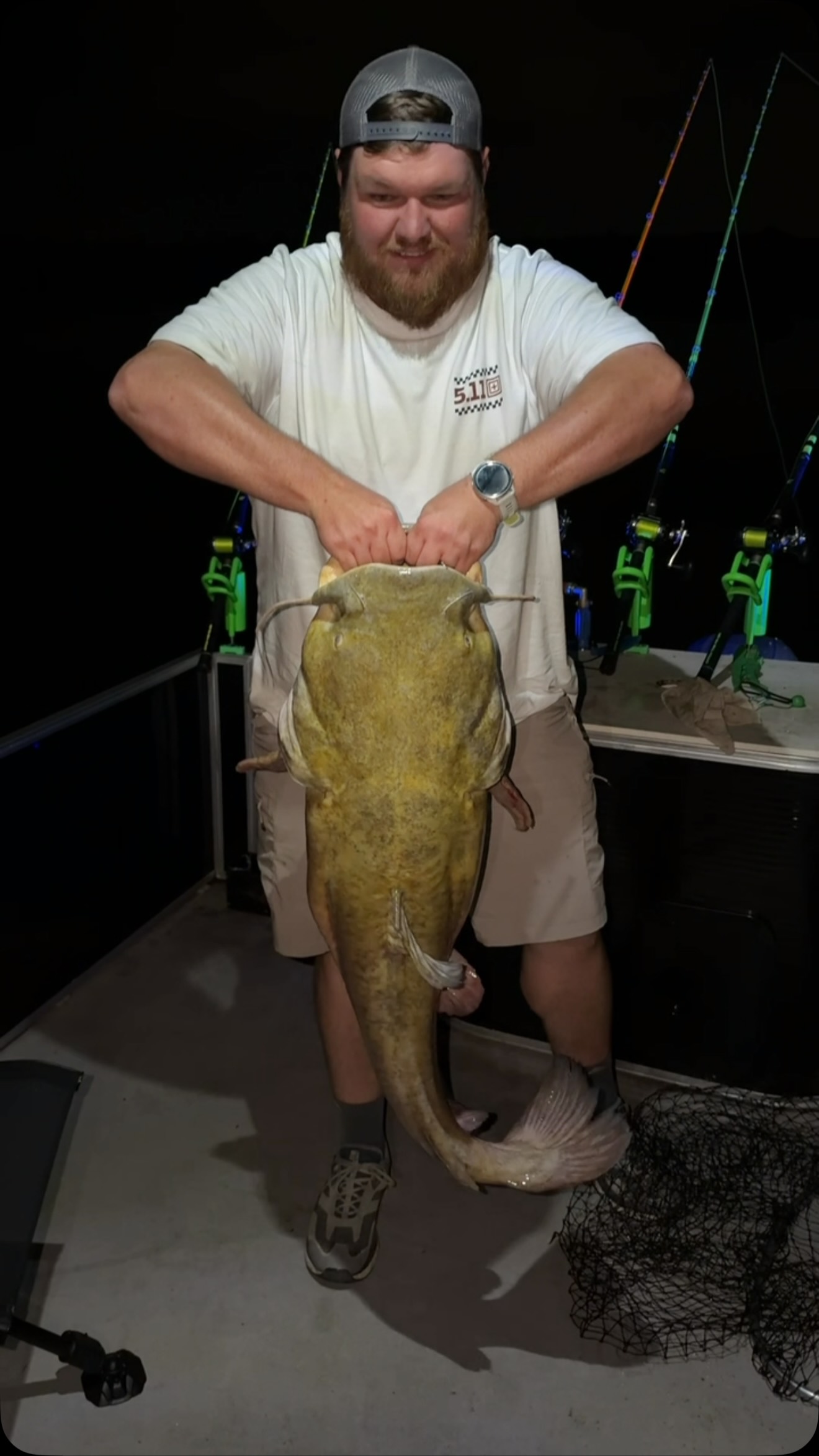 Jumbo flathead catfish
