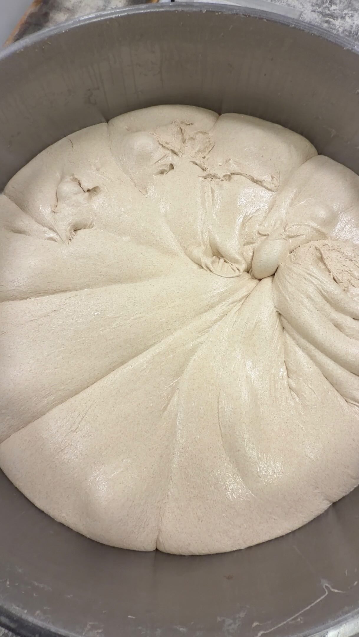 We’ve said it before and we’ll say it again and again and again: there’s no shortcut to great bread. #mediterrabakehouse #artisanbread #naturallyleavenedbread
