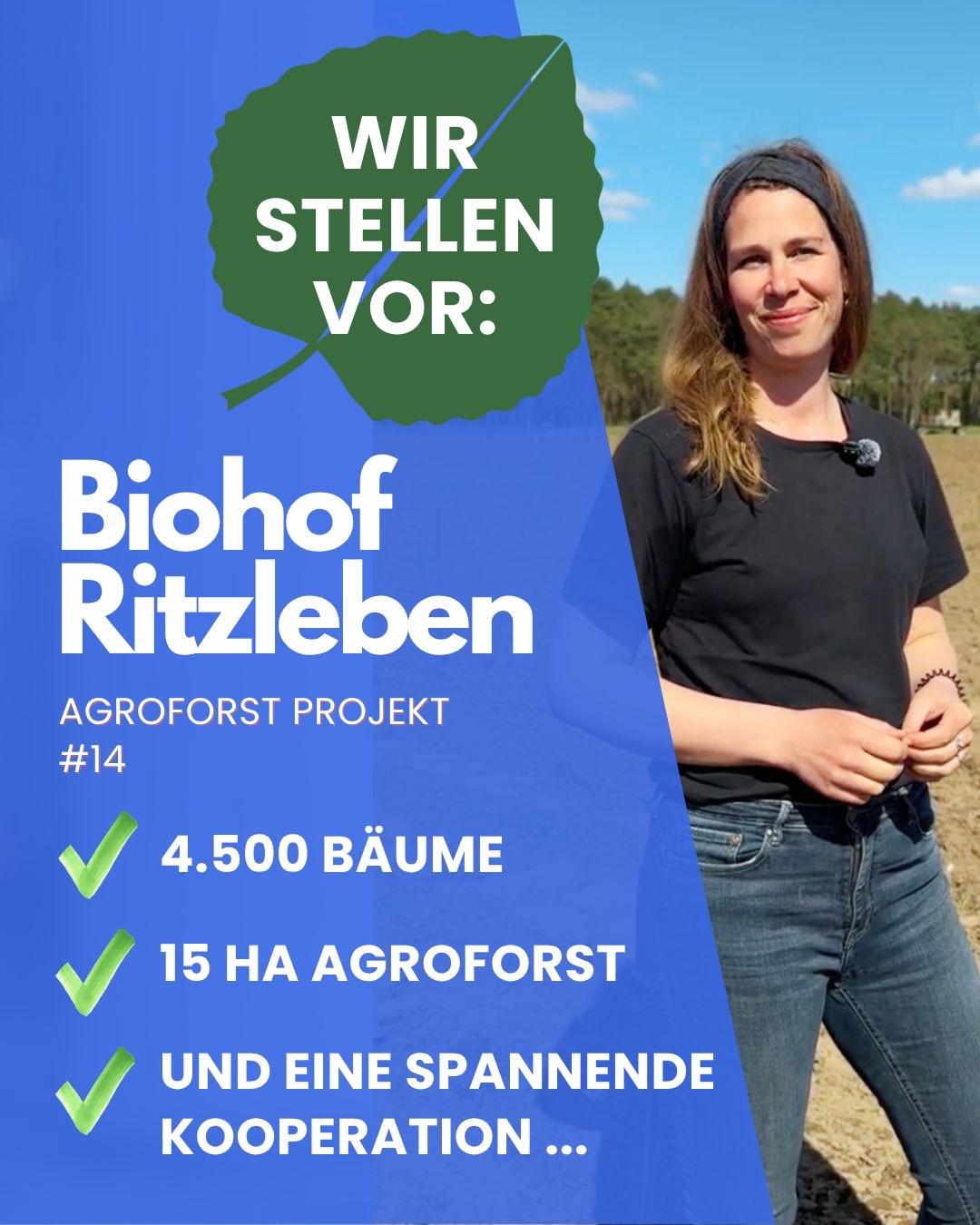 Ende April waren wir in Sachsen-Anhalt, zur Pflanzung auf Hof Ritzleben mit Landwirtin Laura Kulow und Team. Damals wussten wir noch nicht, wie heftig der Sommer werden wird. Und trotz der Hitze und den sandigen Böden vor Ort haben die Pappeln es ohne Bewässerung geschafft gut aufzuwachsen, wir sind selbst immer wieder beeindruckt!
🥔Der Biohof RitzLeben wird von Familie Kulow seit 1991 verbandsgebunden ökologisch bewirtschaftet. Auf rund 450 Hektar Acker- und Grünland liegt der Schwerpunkt des Ackerbaubetriebs auf Kartoffeln, ergänzt durch eine Fruchtfolge aus Dinkel, Roggen, Weizen, Gerste, Hafer und Ackerbohnen sowie Lupinen.
🌱Der Betrieb ist nach Bioland und Biopark zertifiziert sowie Teil von „Landwirtschaft für Artenvielfalt“. Laura Kulow hat in 2023 den Hof von ihren Eltern übernommen und zwei Jahre später Agroforst auf dem Betrieb eingeführt: in 2023 entstand die erste Agroforstanlage mit 74 Hochstamm-Apfelbäumen, 2026 folgte eine Neuanlage mit Pappel-Agroforst mit 4500 Bäumen auf insgesamt 15 Hektar Agroforstfläche.
🪢Das Agroforstsystem am Biohof Ritzleben wurde in Kooperation mit der EDEKA ZENTRALE Stiftung & Co. KG gepflanzt @edeka
#agroforst #agroforstsysteme #agroforestry #ritzleben #kartoffelanbau