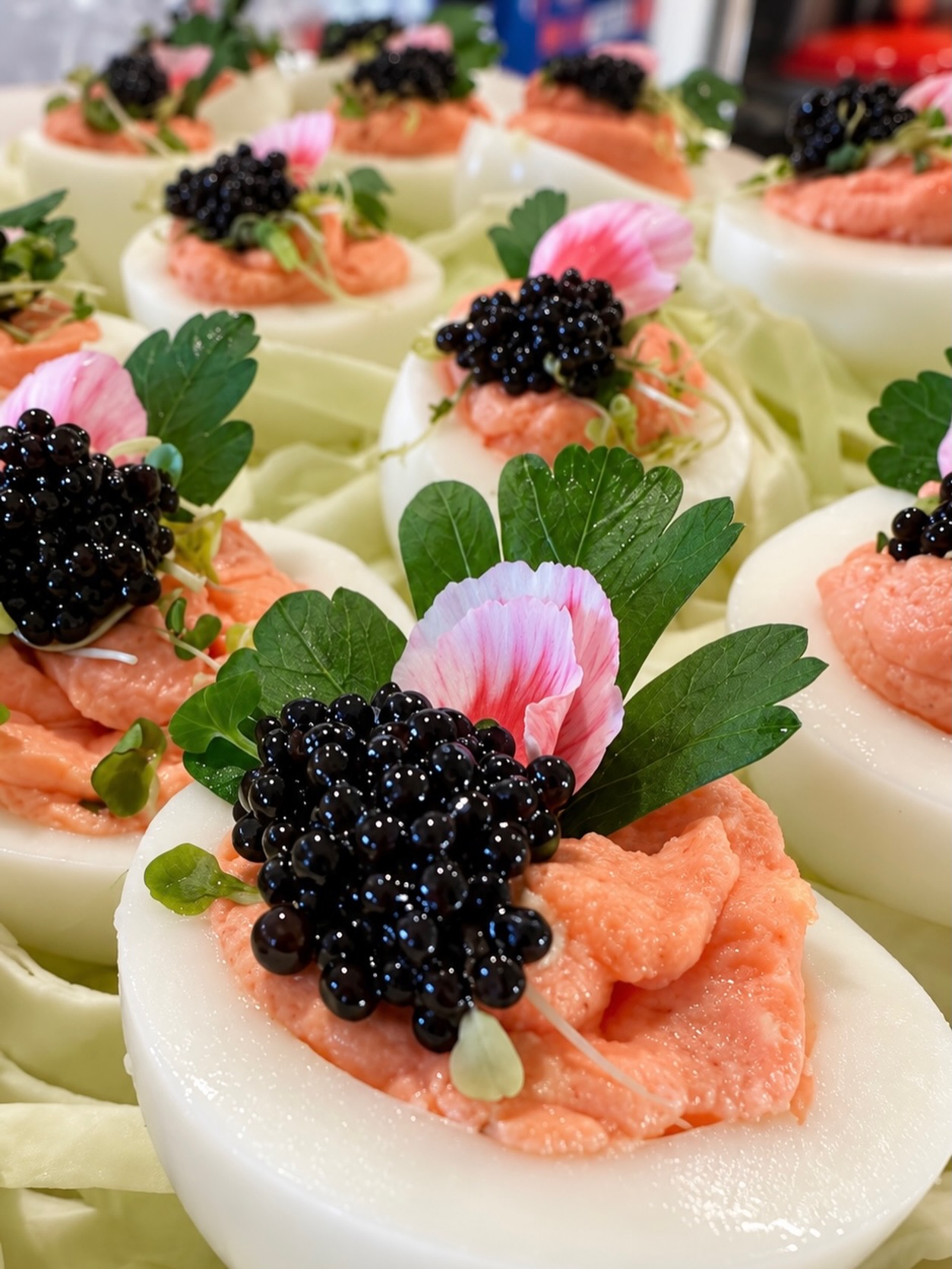 Smoked Salmon & Caviar Deviled Eggs 🐟🥚
A little something pretty for the table. Simple, fresh, and made to be enjoyed together.
#HarmonyCuisine #PrivateChef #GatherAtTheTable #CateringDetails #deviledeggs