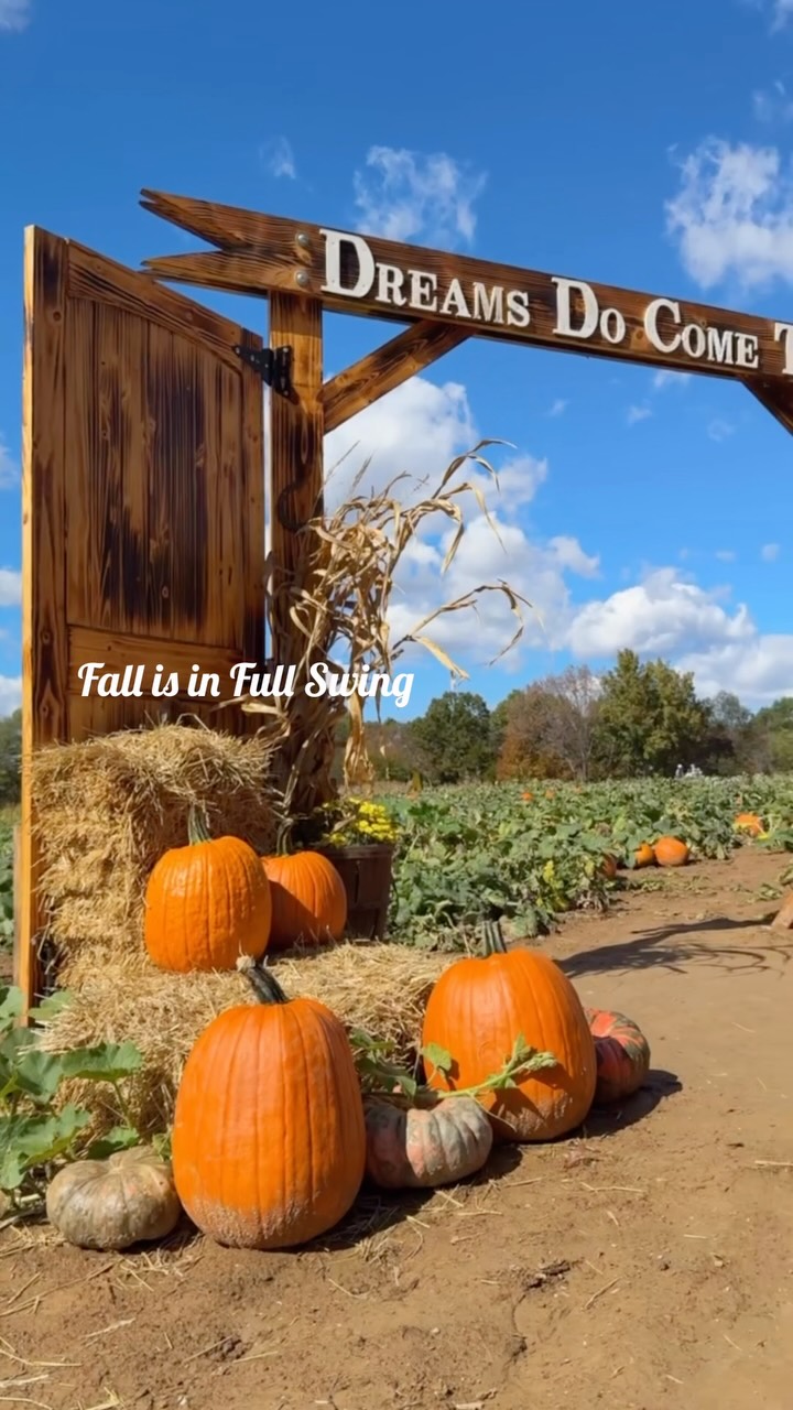 Take a peek at the fun, laughter, and fall memories happening at Bloomsdale Fun Farm! π§‘ππ½
π Bloomsdale Fun Farm | 11803 Carron Road, Bloomsdale, MO 63627
ποΈ bloomsdalefunfarm.com