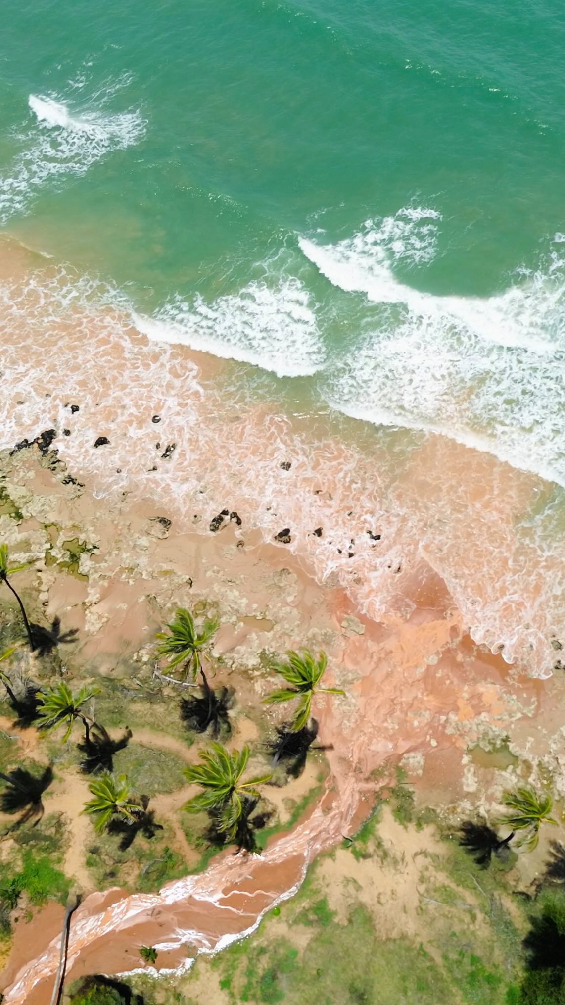 O paraíso existe.
Lagoinha, Ceará — Brasil.
