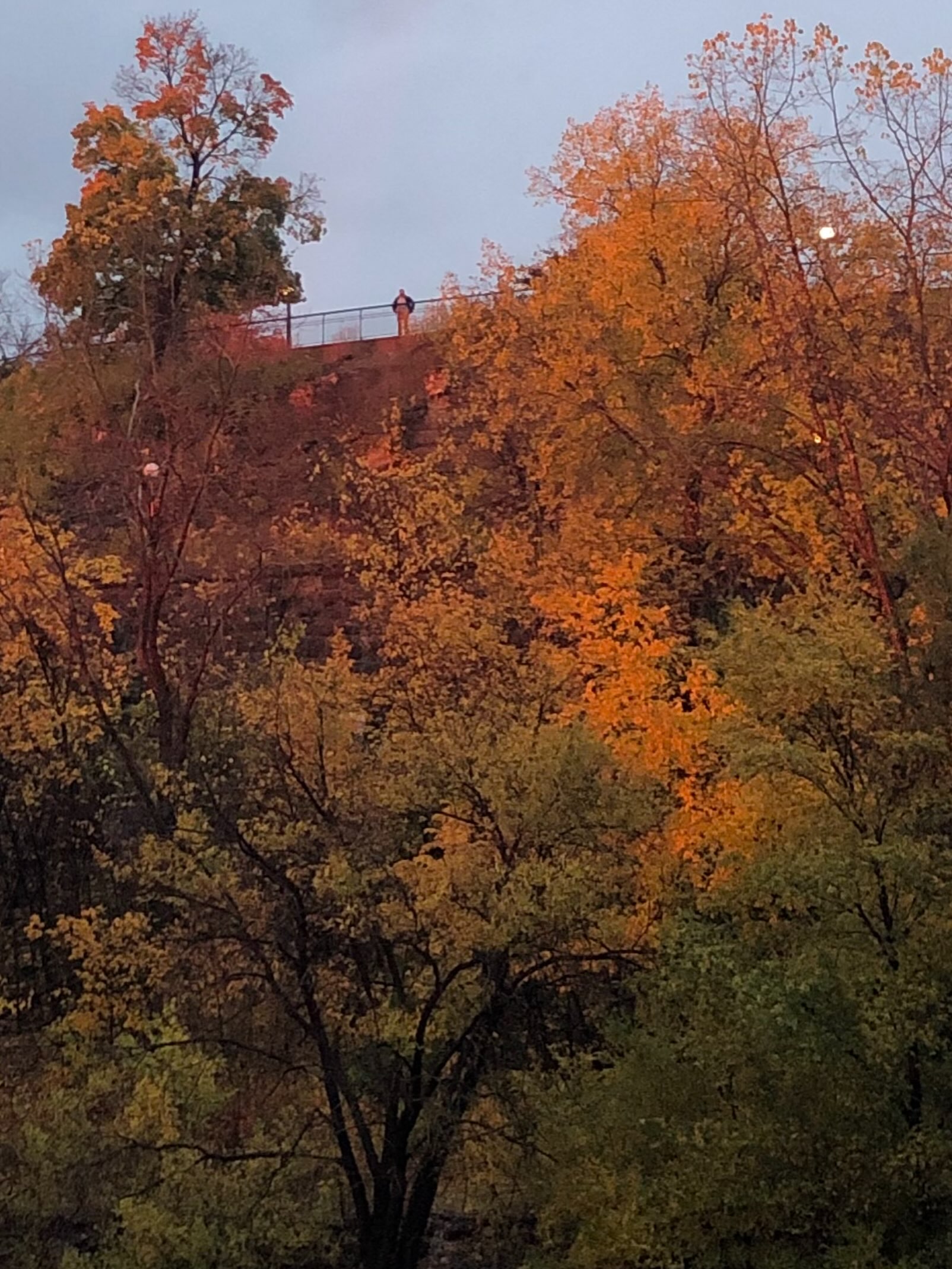 Throw back to October 2022, when Kelly and I went to Ottawa. Love these fall colours!
There’s a short post up on my Layers & Line blog about some of the things I’m working this fall.
Link in bio.