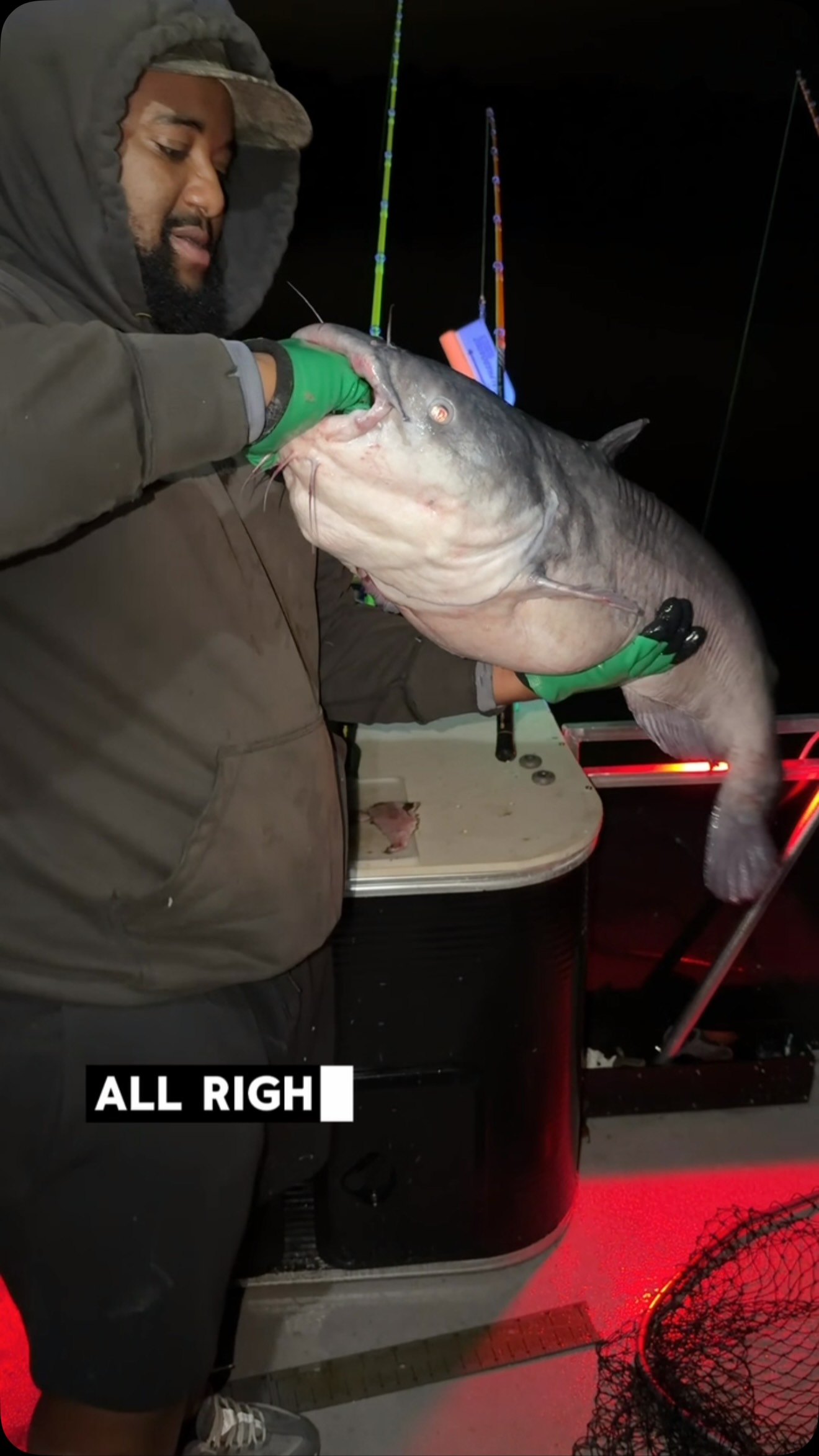 Love a good night bite!
