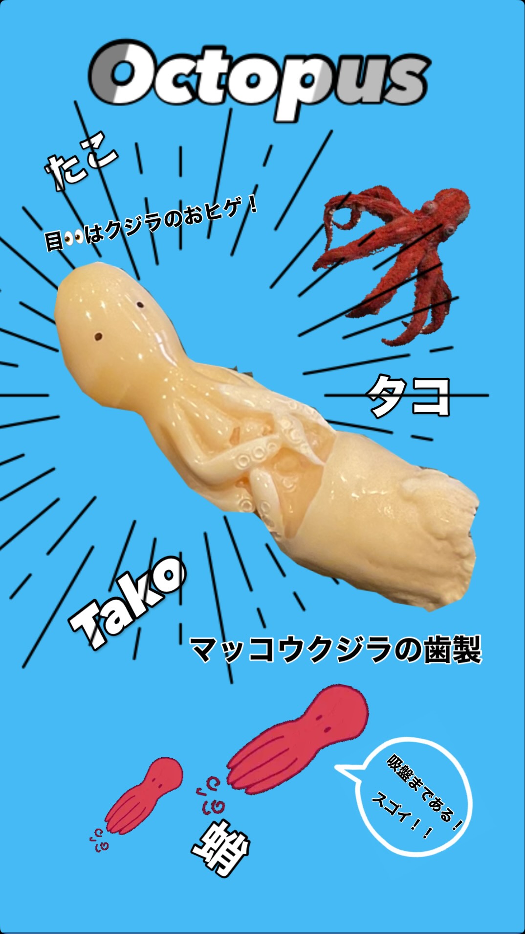 .
こんにちは!くじら工芸浜町店です。
いつもご覧いただきありがとうございます。
皆さま三連休はいかがお過ごしでしょうか?
くじら工芸浜町店は通常通り営業しておりますので
ぜひお気軽にお立ち寄り下さいませ♪
ご来店心よりお待ちしております。
#長崎市 浜町#長崎観光 #マッコウクジラの歯の工芸品 #椿油 #海の生き物シリーズ