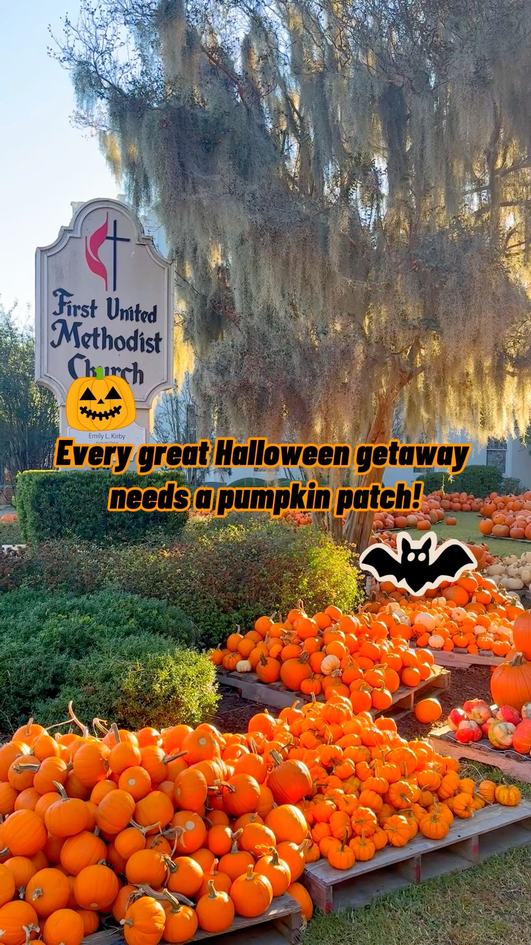 🎃 Need a little fall fun for your Myrtle Beach getaway?
Make a stop at the First United Methodist Church of Conway Pumpkin Patch 🍂 Pick out the perfect pumpkin or gourd from their huge variety of colors, shapes and sizes, then snap some cute fall photos while you're there.
📍 First United Methodist Church | Conway
📅 Open through October 31
🕐 Mon–Fri: 11 AM–7 PM | Sat: 10 AM–7 PM | Sun: 11:45 AM–7 PM
💰 Pumpkins range from $1–$50
Even better? Your purchase helps support local youth ministries and mission opportunities ❤️
Add it to your October itinerary and make your spooky getaway one to remember
Planning your trip? Stay with us at Grand Palms Resort and make the most of Halloween on the Grand Strand. Use the booking link in our bio 🔗
#grandpalmsresortmb #fallvibes #cityofhalloween #myrtlebeachvacation #coastalgetaway