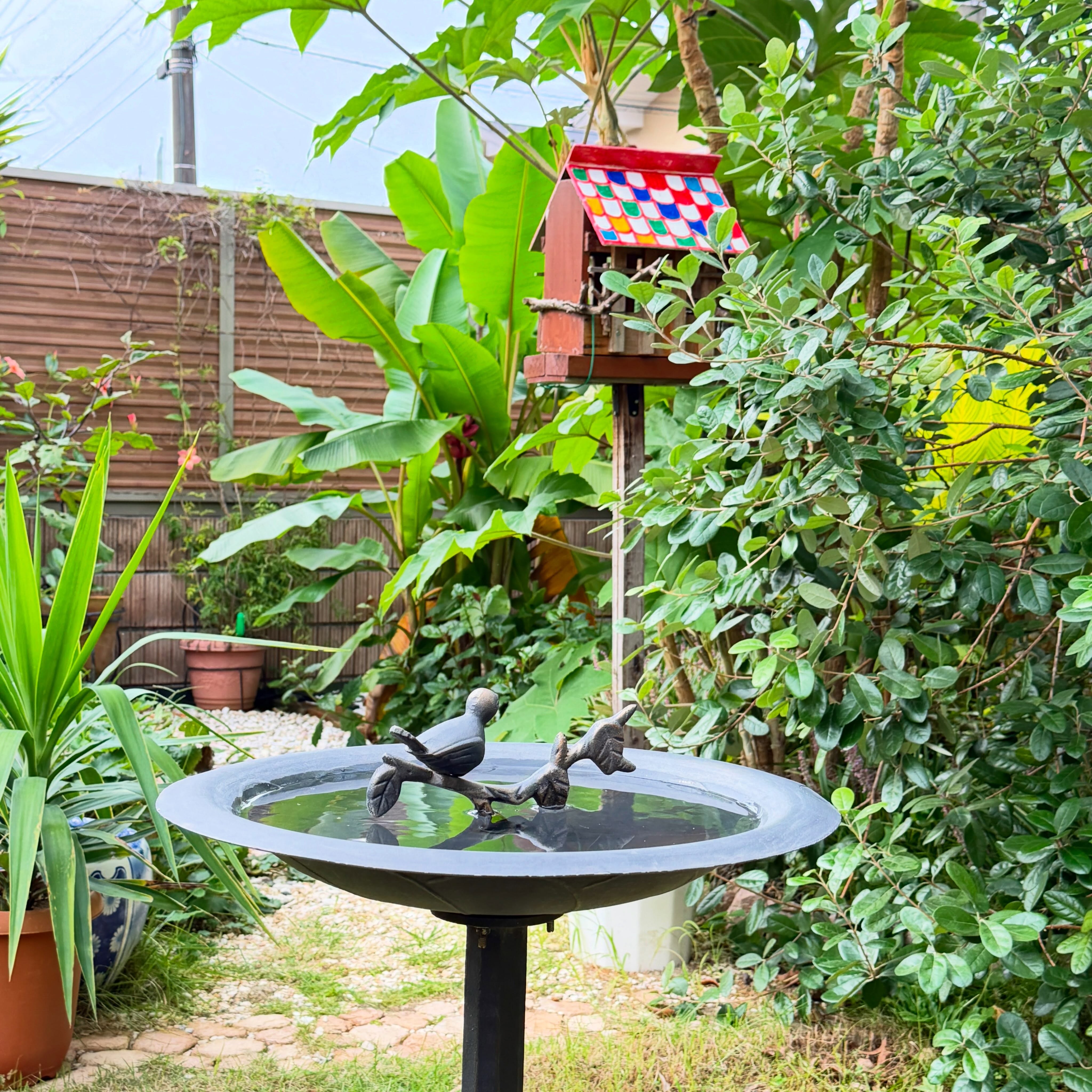 バードバスを置いてみました🦜エサ小屋で食事をした後にでも利用してくれたらいいなぁ。たくさんの鳥がやって来るのか楽しみです🦤I set up a birdbath at O’s Garden. I hope the birds will use it after they’ve had a meal at the feeder!🦆
#birdbath #バードバス #庭 #ガーデニング#gardening