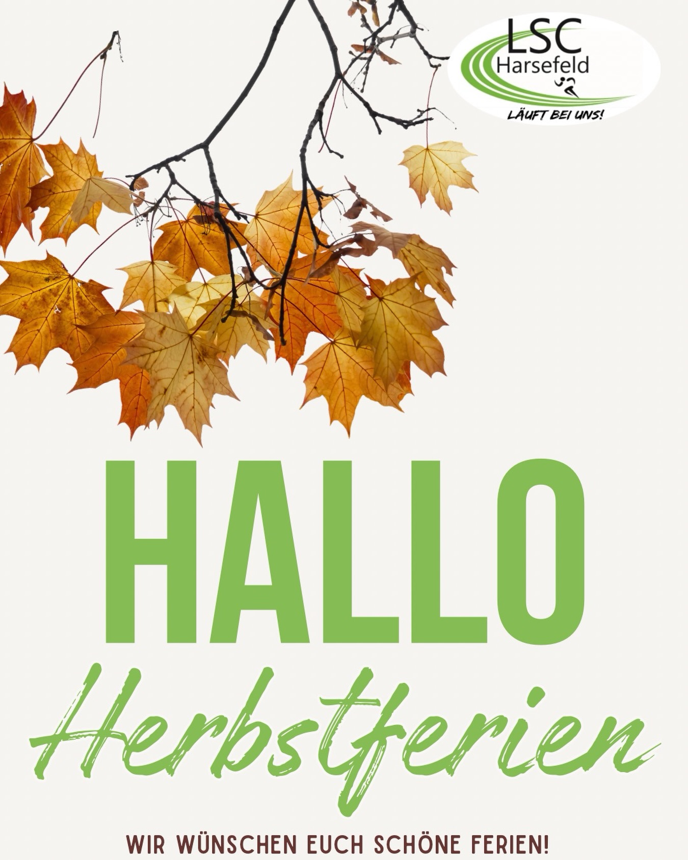 Wir starten in die Herbstferien! 🍂💚
Auch wir legen eine kleine Trainingspause ein und in den Ferien findet kein Training statt. 💚
Weiter geht’s am 26.10.! 💪🏻✨
Unsere neuen Trainingszeiten werden in Kürze bekannt gegeben. 👀
Wir wünschen euch schöne, erholsame Herbstferien und freuen uns darauf, euch bald wieder beim Training zu sehen! 💚🍂
#Herbstferien #Trainingspause #WirSehenUnsBald #Training