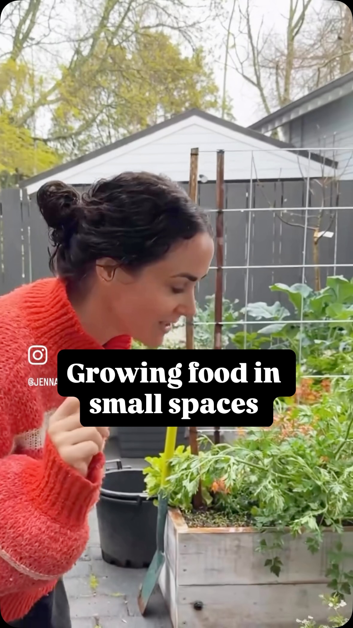 Planting veggies next to a fence? Don’t make this mistake.
When you’re growing vegetables in a small space, every bit of growing room counts. You want to get it right from the start, because the last thing you want is to spend time and money setting up a garden only to have your vegetables competing with established tree and hedge roots.
That’s exactly why I’m installing lined, self-watering raised planter kit set beds along my boundary fence.
WHY? Tree and hedge roots will seek out available moisture and nutrients, and they can quickly outcompete your vegetables.
SOLUTION: A properly lined planter bed creates a physical barrier between those roots and your growing mix, while the water reservoir helps keep your vegetables supplied with moisture.
It’s all about setting yourself up for success from day one and making the absolute most of the space you have.
But first, we need to remove the existing garden bed and level the ground. Self-watering wicking beds need a level base to work properly, so preparation is key.
This is Part 1 of our new garden bed installation series, where I’m sharing the process of creating a productive vegetable garden in a small space.
Summer growing at home !