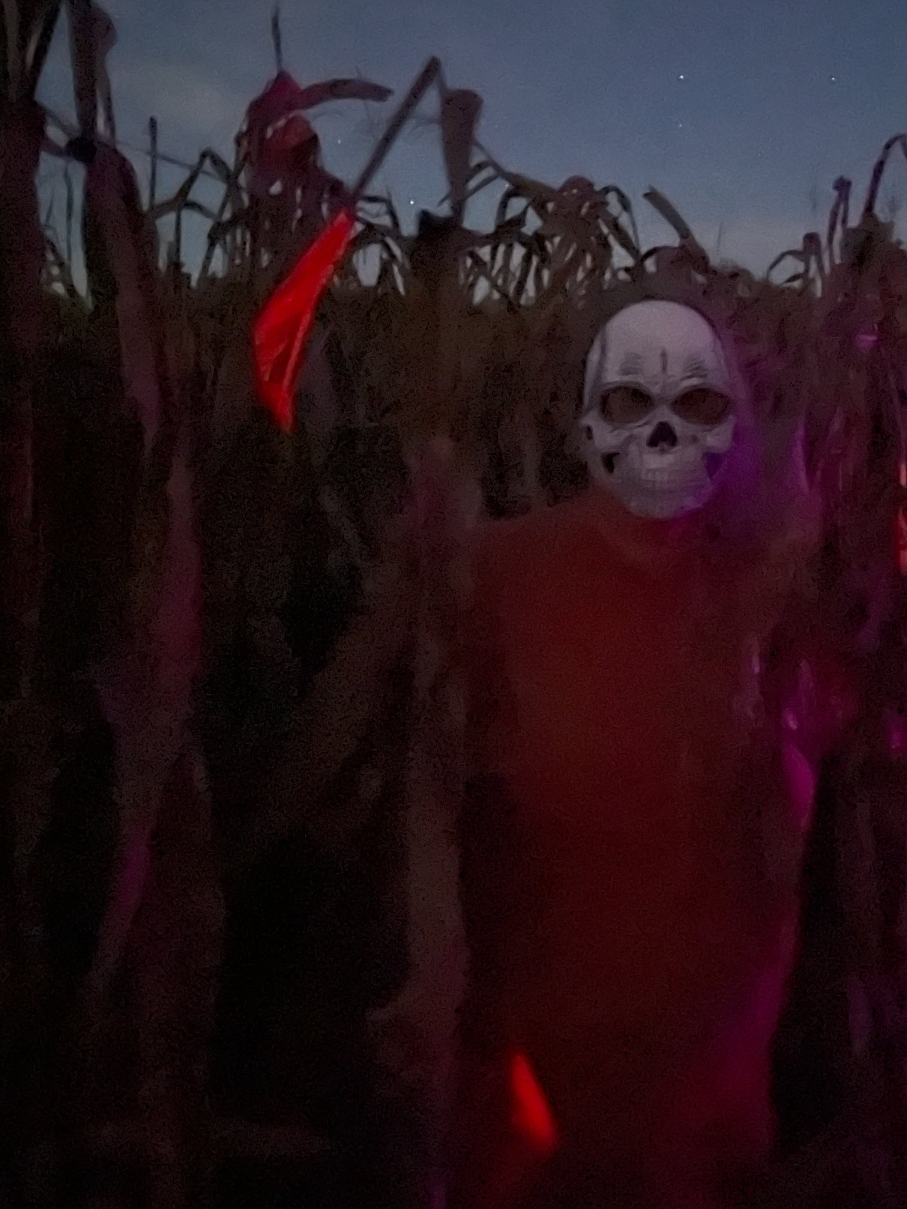 Our Haunted Nights start next Friday and Saturday Oct 16-17.
Last year was so much fun, we added a couple more nights this year (Oct 16, 17, 23, 24, and 30).
🌽 Haunted corn maze & tall grass maze
🚜 Haywire hayride
🎶 Live music
🔥 Firepits with Hallo-weenies (hotdogs) and s’more roasting
💀 Fun photo props
Tickets are limited so we recommend buying online.
See our website for more info and tickets (Seasons > Sinister Springs Haunted Farm)
#hauntedcornmaze #hauntedfarm #hauntednights