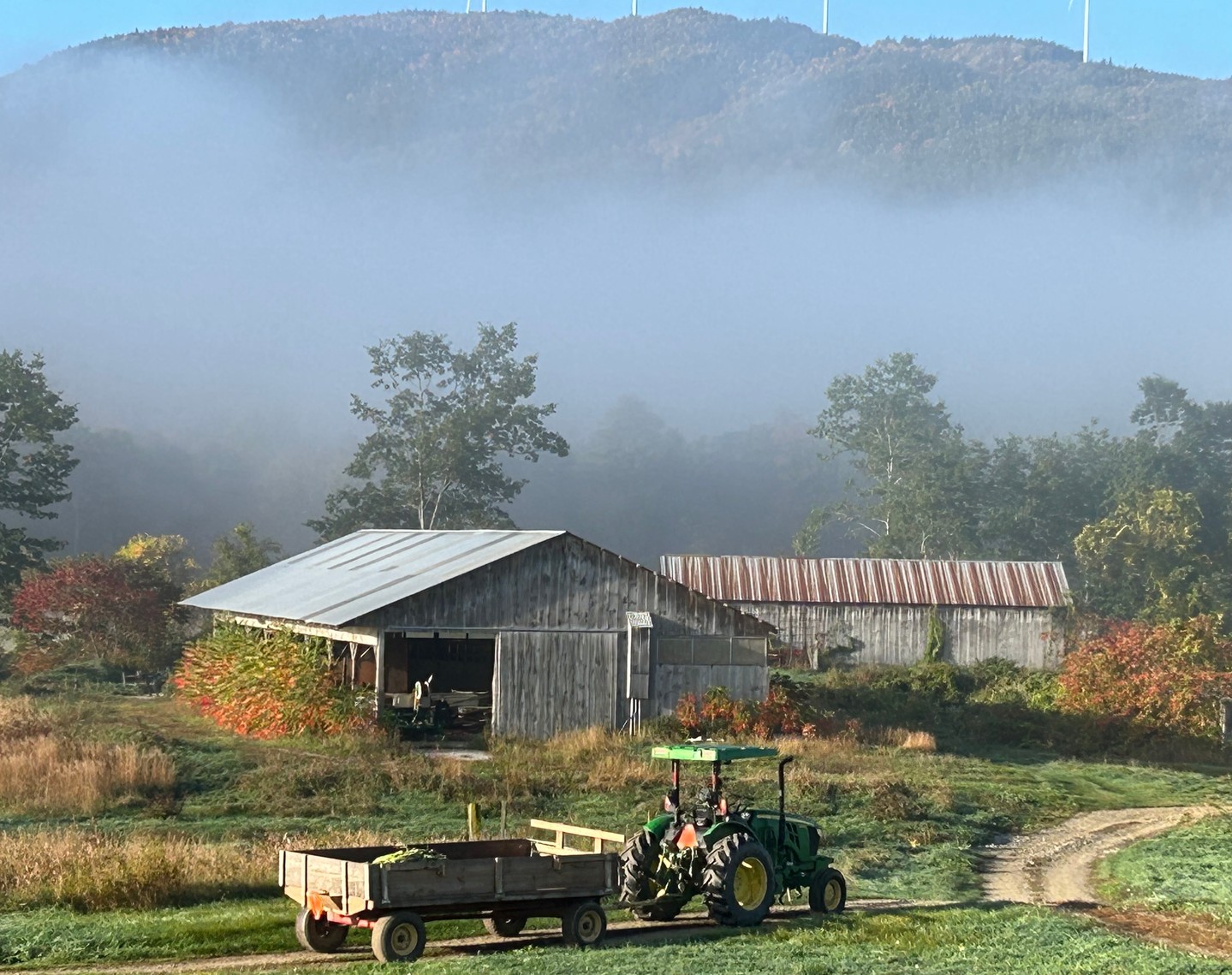 October has arrived! Check out the latest Farm Newsletter & Update. Link in BIO! It's pumpkin time! But don't forget about the veggies--we will have so much in stock. Come visit us this fall!