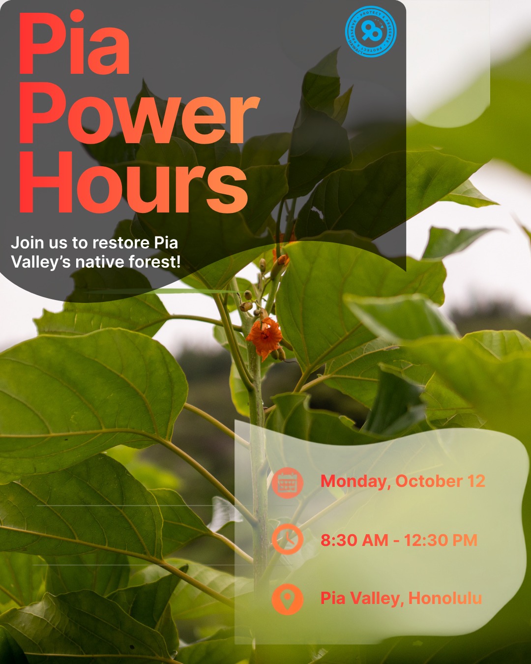 Pia Power Hours — get outside and help restore Pia Valley! 🌿
Join us Monday, Oct 12, 8:30 AM–12:30 PM HST. Sign up at the link in our bio!
#PiaPowerHours #Conservation #VolunteerLocal #ProtectPreserveHI #Honolulu