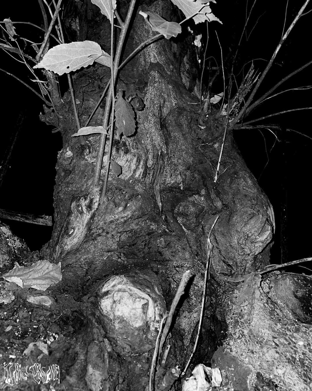 || the weight of years ||
time doesn’t always destroy what it touches.
sometimes it twists things beyond recognition and calls it survival.
|| nature’s defiance ||
civilisation laid boundaries.
life never agreed to them.
|| residual danger ||
we built warnings for dangers we understood.
then became the very thing we failed to recognise.
|| fractured foundations ||
stability is often just deterioration we haven’t noticed yet.
|| the failure of order ||
we built barriers to define what could be crossed.
never questioning how easily the barriers themselves could fall.
|| the last entanglement ||
strip away everything the once defined existence.
what remains was never dependent on it.
