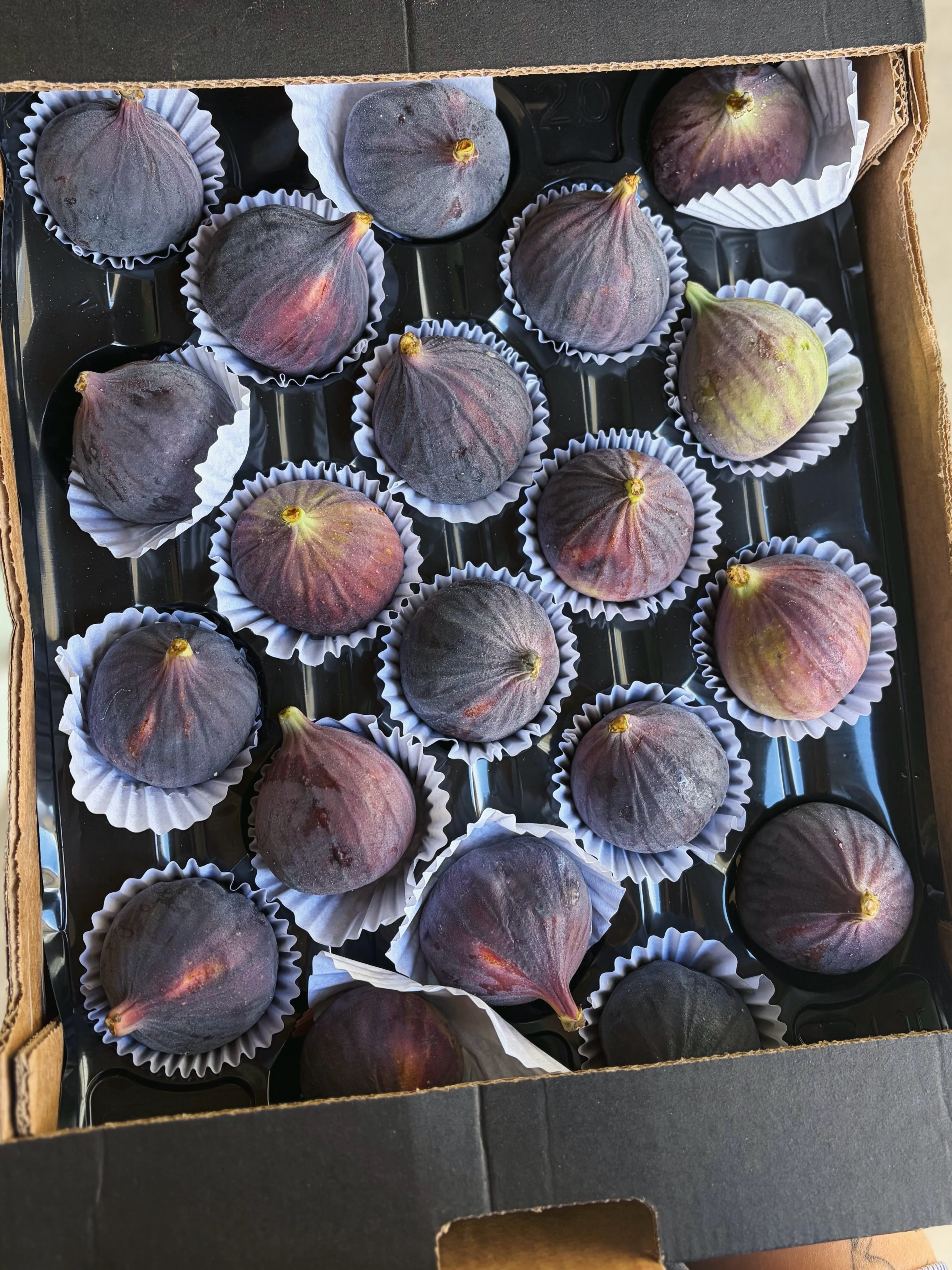 Fresh Fig in stock ~ along with some other excellent produce like bunch carrot, savoy cabbage, portobello mushroom and today’s favourite - Physalis to make a great golden berry jam 🍓🥕🥬🍇🫐
Catch us open - Wednesdays/ Thursdays/ Fridays 10-5 & Saturdays 10-4
📍 The Workshop, Halifax road, Thurgoland, S357ED
#freshproduce #greengrocer #shopfresh #shoplocal