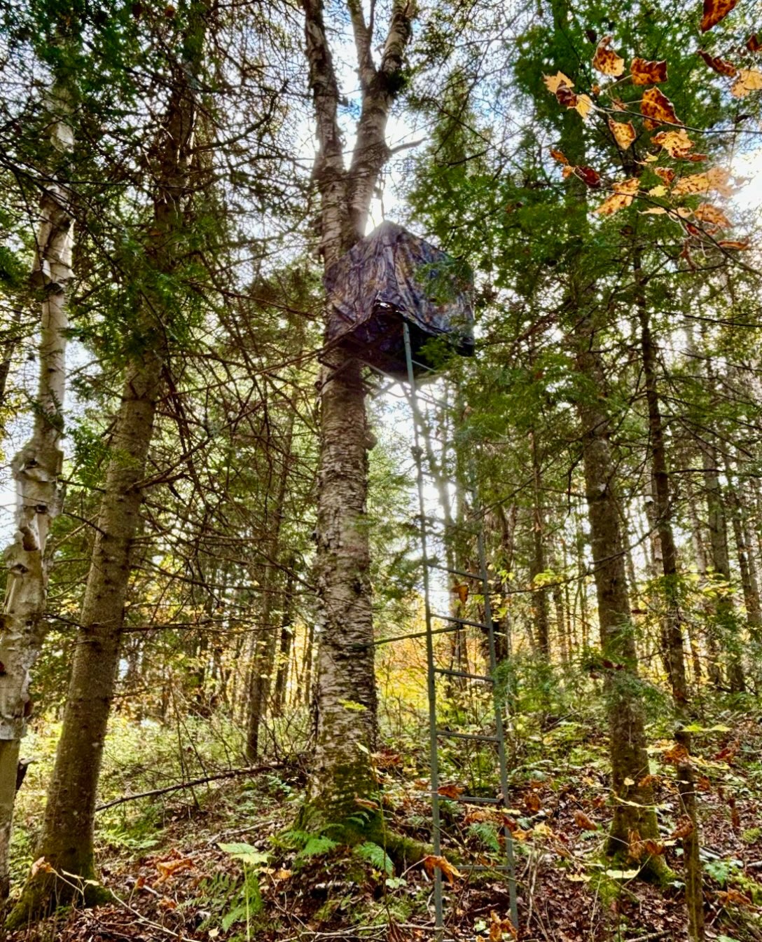 Your Office for Fall. 🦌🍂
Meet the Altan Vortex Ladder Stand. Built to put you where the action is.
#Altan #Vortex #HuntingSeason #Treestand