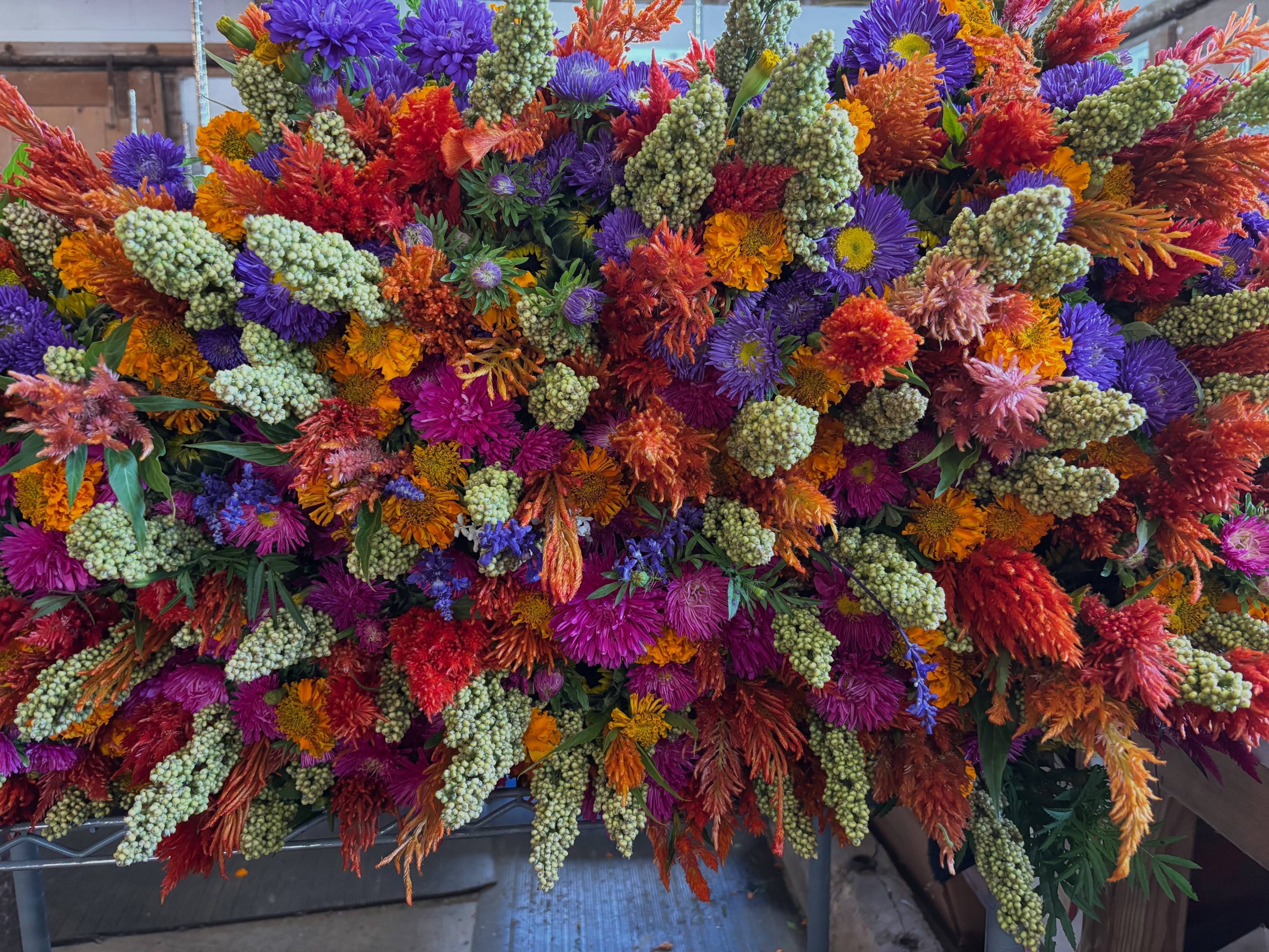 19 years with @karnsfoods . Today we’ll deliver the last order of the season to Karns Foods. 19 seasons of Roots bouquets, of supporting this farm, is a long time! What should we do to celebrate 20 seasons next year? Already dreaming.