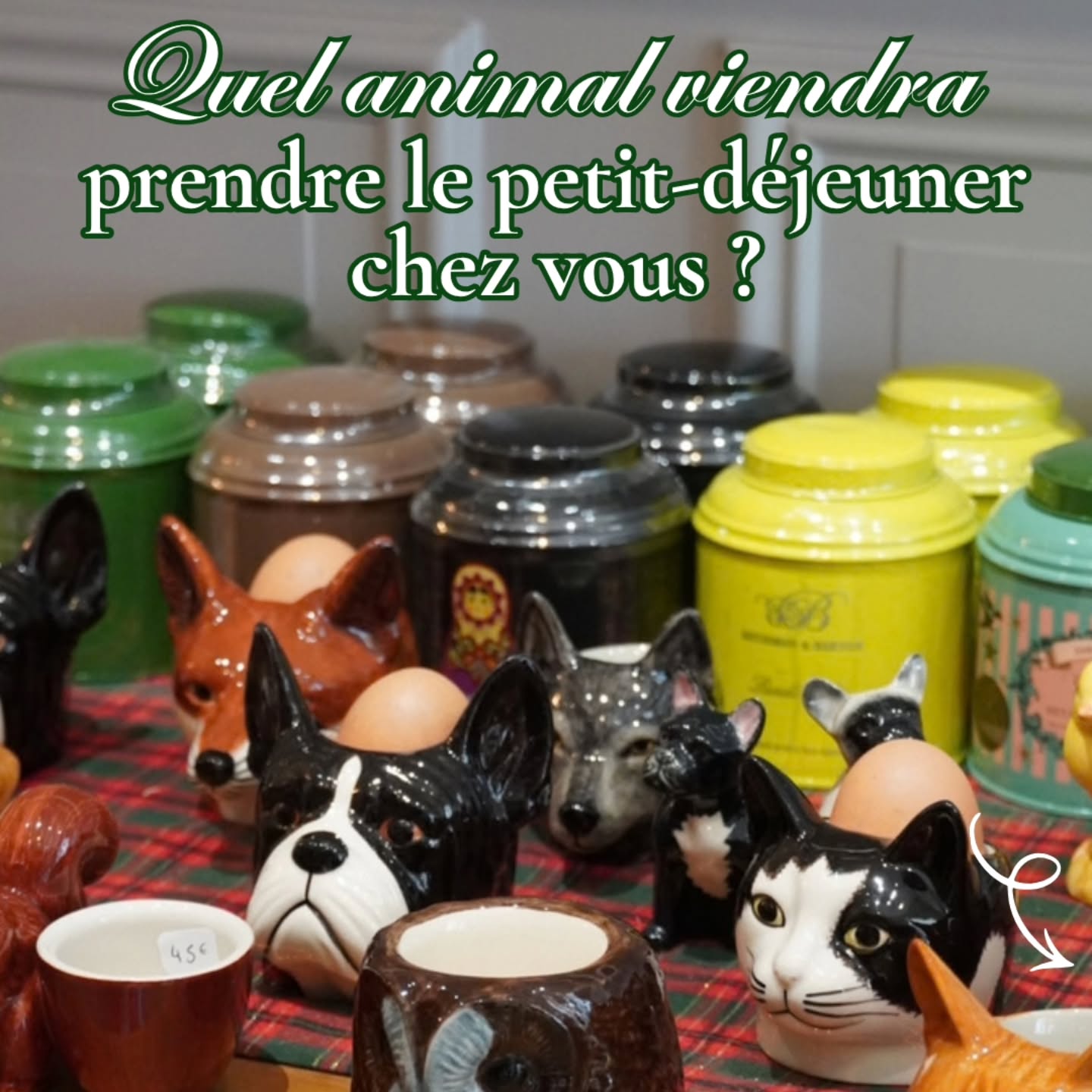 🐾🥚 Quel animal viendra prendre le petit-déjeuner chez vous ? ☕️
Aujourd’hui, nos petits compagnons en céramique de la marque Quail s’invitent à table et ils ont chacun leur tasse préférée ! 🥰
🐱 Team chats : des coquetiers félins accompagnés des jolies tasses chats de Sophie Allport
🐶 Team chiens : des bouilles à croquer pour un petit-déjeuner tout en tendresse
🦊 Team renard : une ambiance automnale avec les tasses de la collection automne de Sophie Allport
🦌 Team animaux de la forêt : une touche nature avec les jolies tasses vertes de GreenGate 🌿
✨ Tous ces petits trésors sont disponibles en boutique au 27 rue Marceau à Tours et sur notre boutique en ligne (lien en bio)
#boutiquedethe #vaisselle #sophieallport #coquetier #tours toursmaville