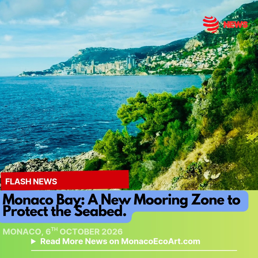 MonacoEcoArt #flash #news #monaco #bay #sustainablelifestyle 🌊🇲🇨 From 7 October 2026, the Government of Monaco @gvt_monaco will embark on a major #maritime project to establish an organised mooring zone in Monaco Bay, designed to #protect the seabed while improving #navigation safety and the #quality of reception for visiting vessels. Scheduled to last approximately three and a half months, the works will be completed by the 31st March 2027 at the latest, paving the way for the new zone to become operational for the #summer 2027 season. Repeated anchoring, particularly during the busy summer months and major events, places considerable pressure on marine #habitats. By replacing conventional anchoring with fixed mooring points, the project will significantly reduce the #impact of vessels on the seabed and help preserve the bay’s marine environment. The initiative, led over several years by Monaco’s Maritime Affairs Department, also aims to enhance navigational safety in one of the Mediterranean’s busiest stretches of water and provide a more efficient and controlled welcome for visiting #vessels. While organised mooring areas already exist elsewhere in the Mediterranean, notably in France and Italy, Monaco’s facility presents a distinctive #technical challenge: it will be installed in deep water, between 45 and 80 metres. The system will comprise nine mooring #buoys, secured to the seabed by specially designed, eco-conscious anchoring blocks. Given its #location, the #project has been developed in close consultation with the French maritime authorities. The selected area corresponds to the waters traditionally used for anchoring during the #summer season and major events in the Principality. Once operational, the organised mooring zone will accommodate vessels of up to 90 metres. The new facility will be managed by the Société d’Exploitation des Ports de Monaco (SEPM).
By combining environmental protection, maritime safety and high-quality infrastructure, Monaco is taking a further step towards a more carefully managed and sustainable use of its waters. 📸 © Gouvernement Princier - Layout and Contents by: © MonacoEcoArt.com