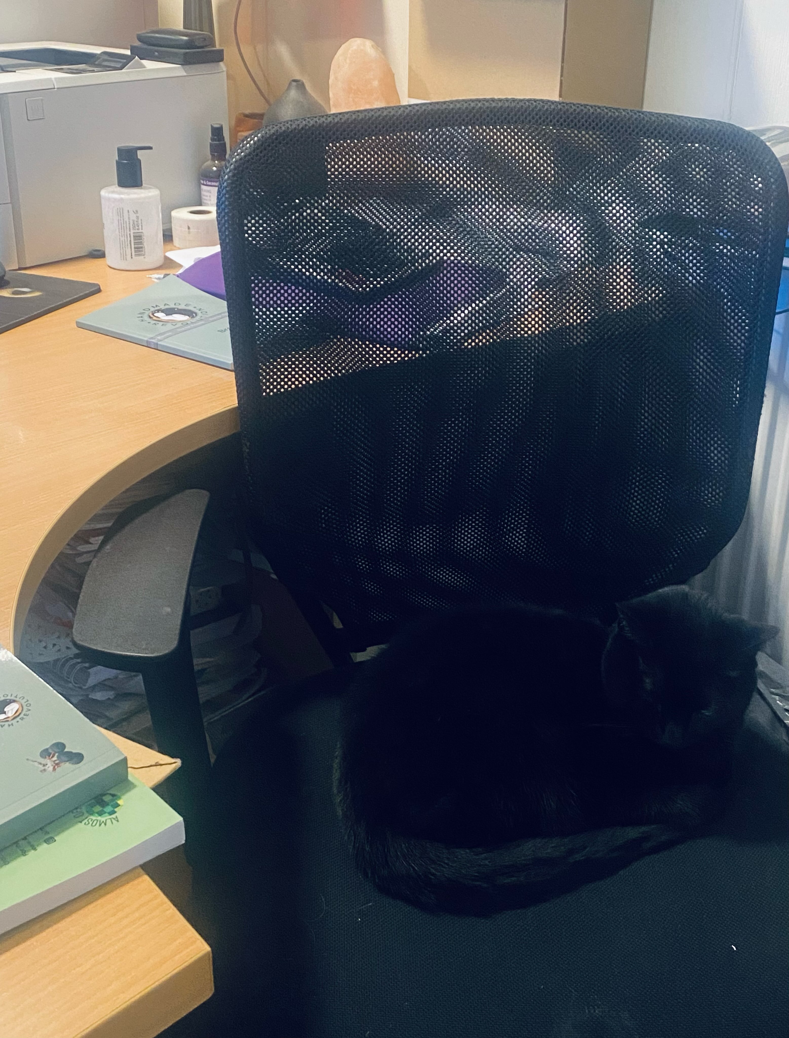 In the shop on my own today. My co-worker doesn’t say a lot but I know she’s there. On (what I thought was) my chair. 🐈⬛ #smallbusinesslife #shopcat #blackcatsofınstagram