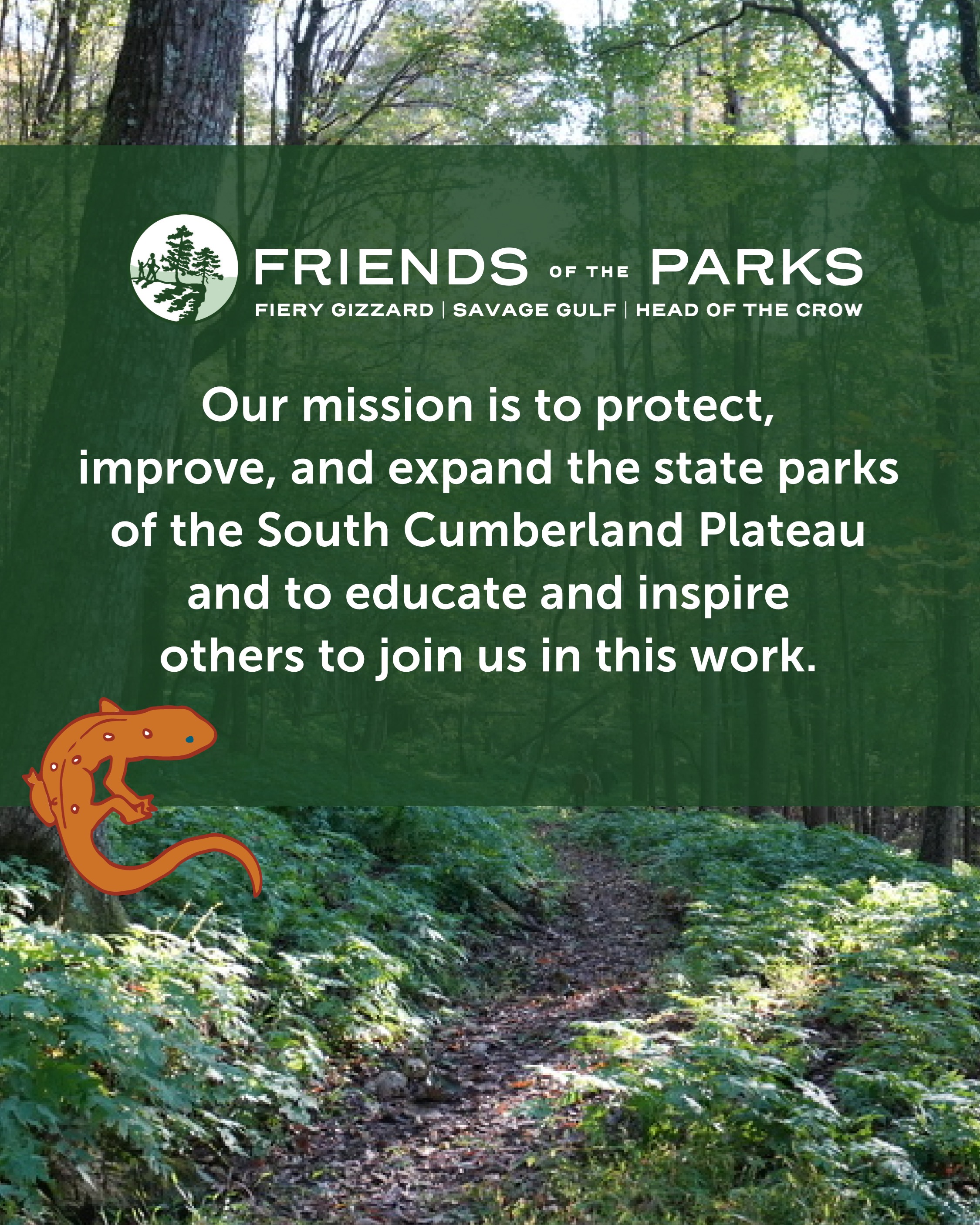 We love our parks, and believe they're worth protecting!
At Friends of the Parks, we're a passionate group of volunteer citizens dedicated to supporting Fiery Gizzard, Head of the Crow and Savage Gulf State Parks. Our mission is to protect, improve, and expand these state parks and invite others to join us!
After all, these parks belong to all of us, and we all have a role to play in protecting them for future generations.
If you're not already an official Friend of the Parks, join us! friendsofsouthcumberland.org/join