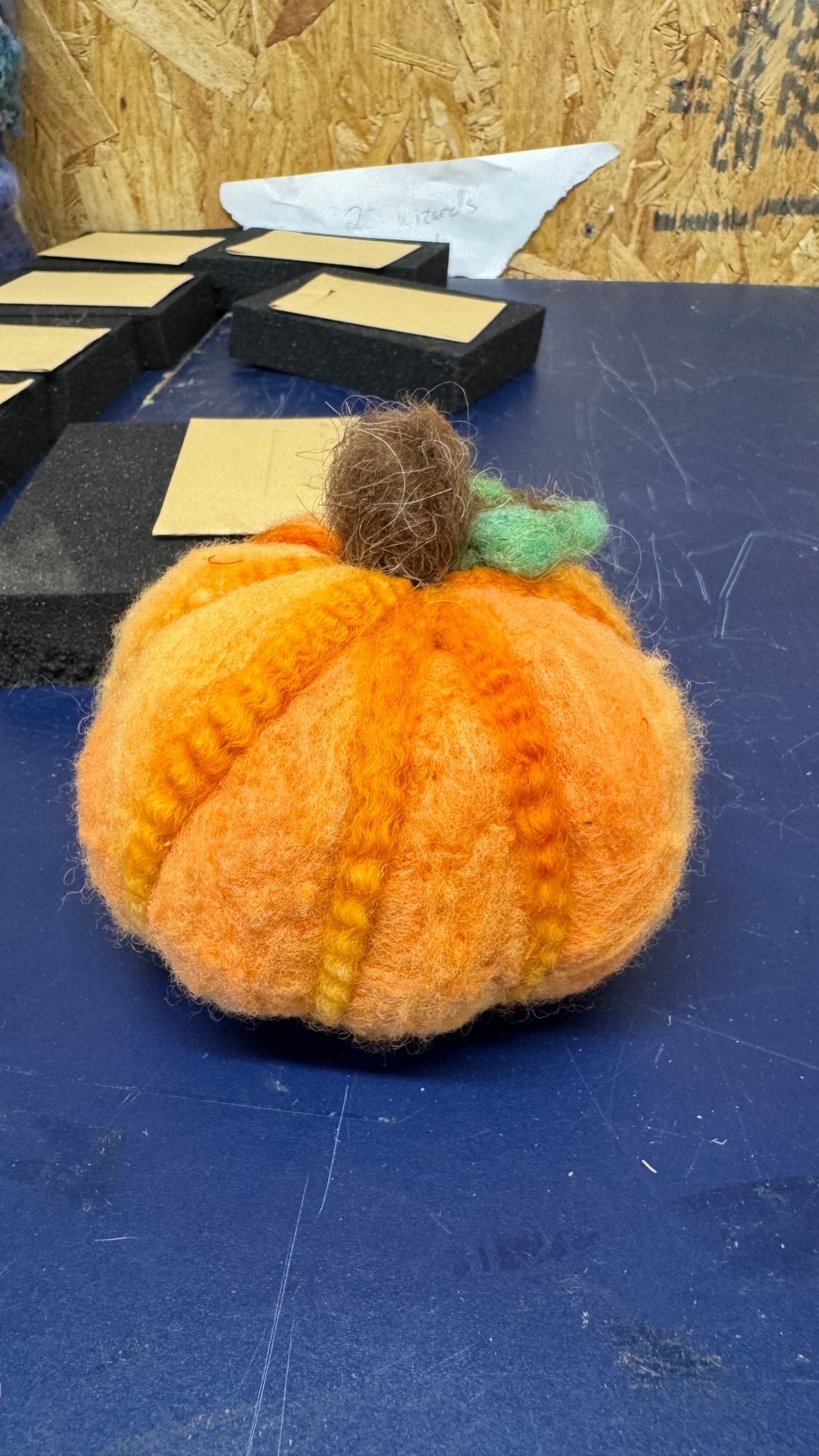 What makes our needle felting kits different?
We start at the SOURCE.
Meet Noel, her gorgeous locks create the natural “ribs” on our pumpkins! And yes… that wool comes from a sheep right here on our farm.
From sheep ➡️ wool ➡️ kit ➡️ your hands, the whole process happens right here on our farm in New York.
No mass-produced wool. No mystery materials.
Just real NY wool, real sheep, and a whole lot of farm-made magic.
Come make the coolest needle-felted pumpkins with us! 🎃
#NeedleFelting #NeedleFeltingKit #NeedleFeltedPumpkin #NYSheep #NYWool